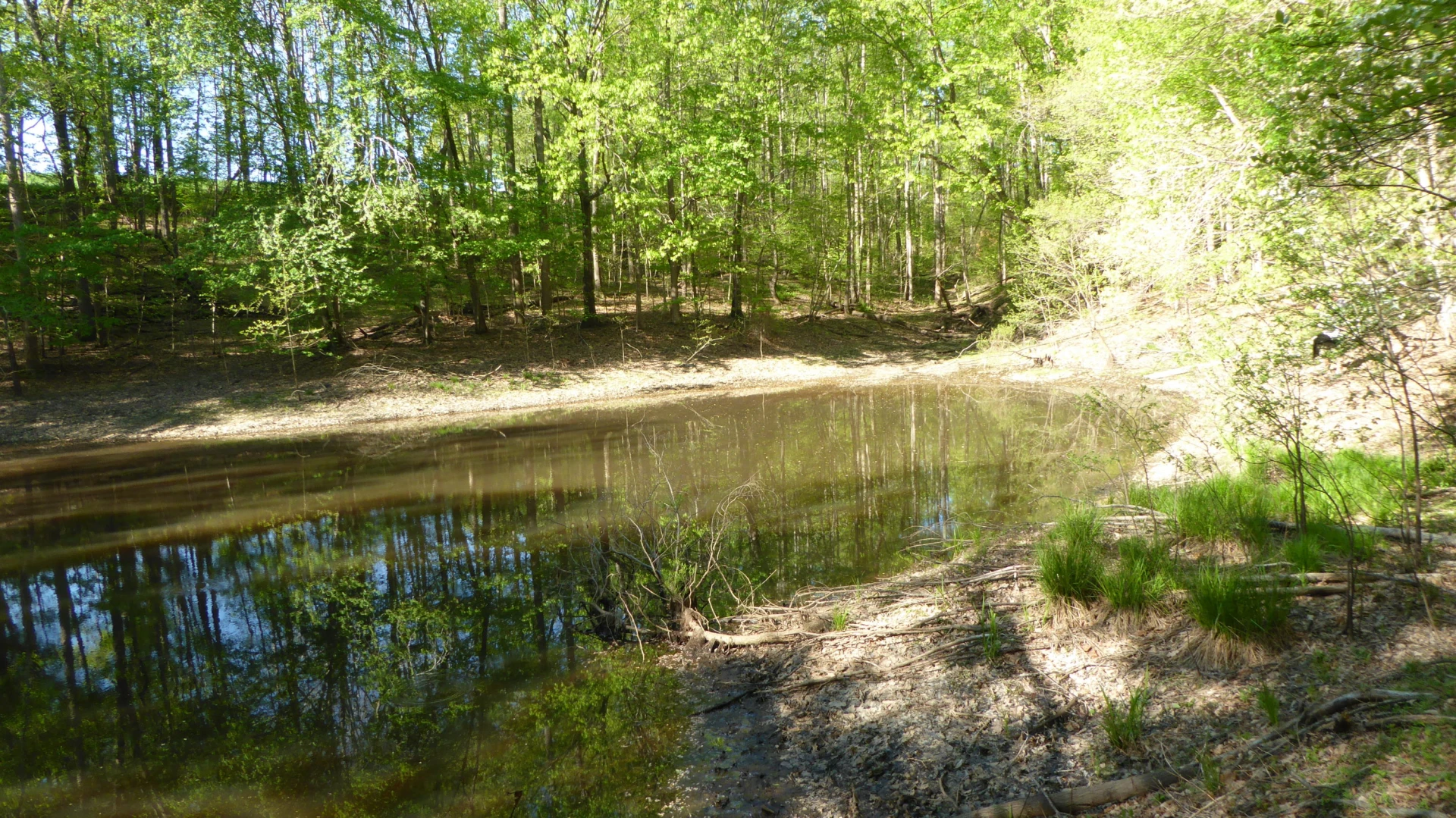 TRACT 9 Dusty LN - Photo 2