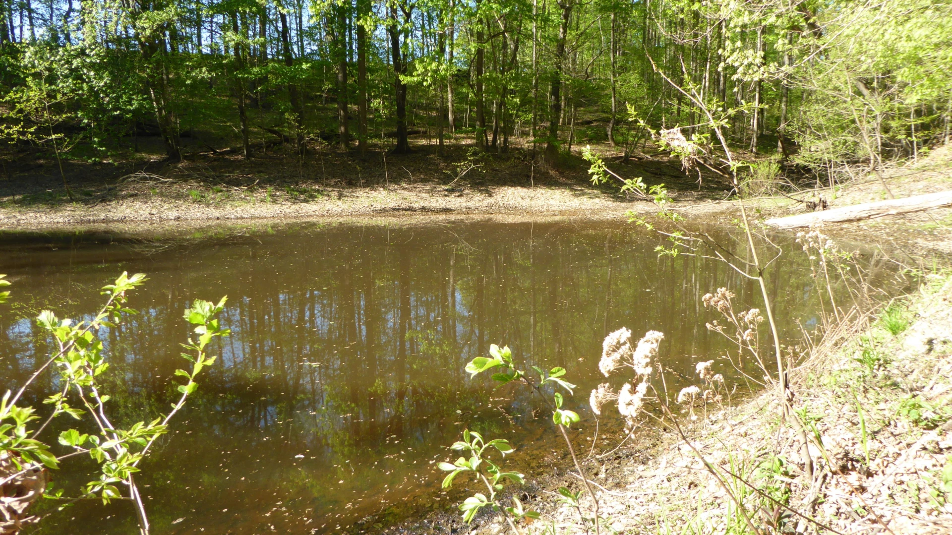 TRACT 9 Dusty LN - Photo 3