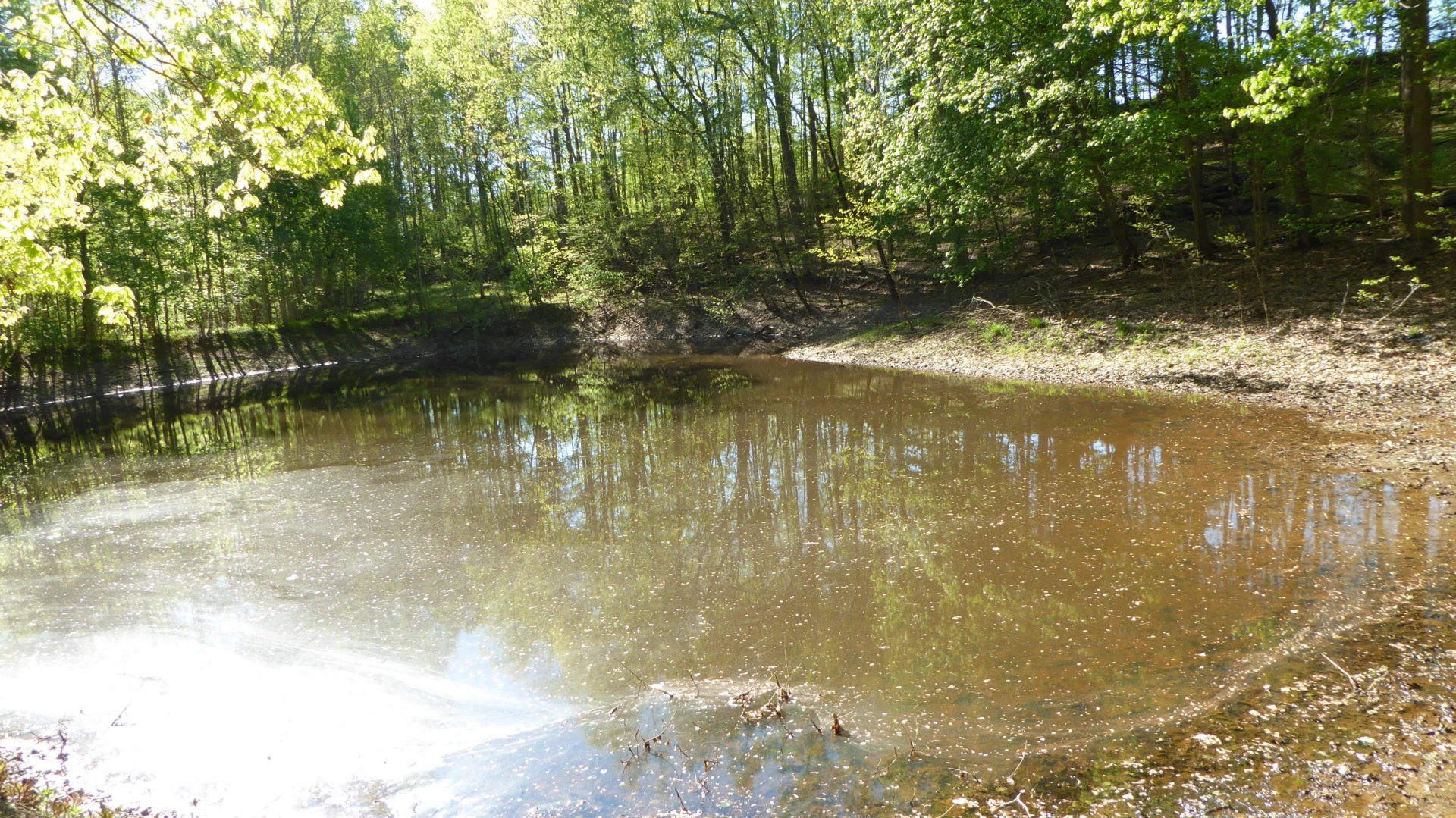 TRACT 9 Dusty LN - Photo 6