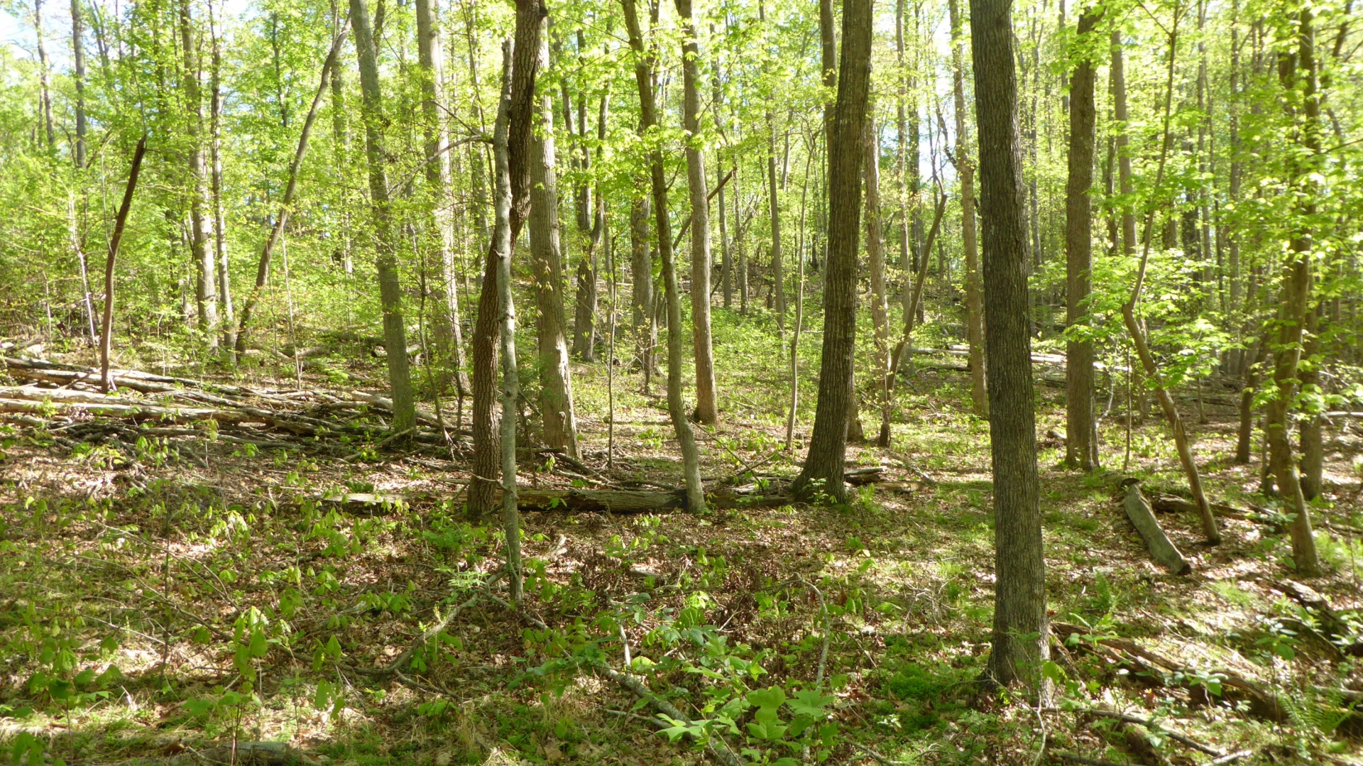 TRACT 9 Dusty LN - Photo 7
