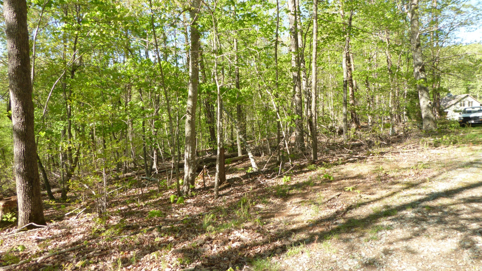 TRACT 9 Dusty LN - Photo 8