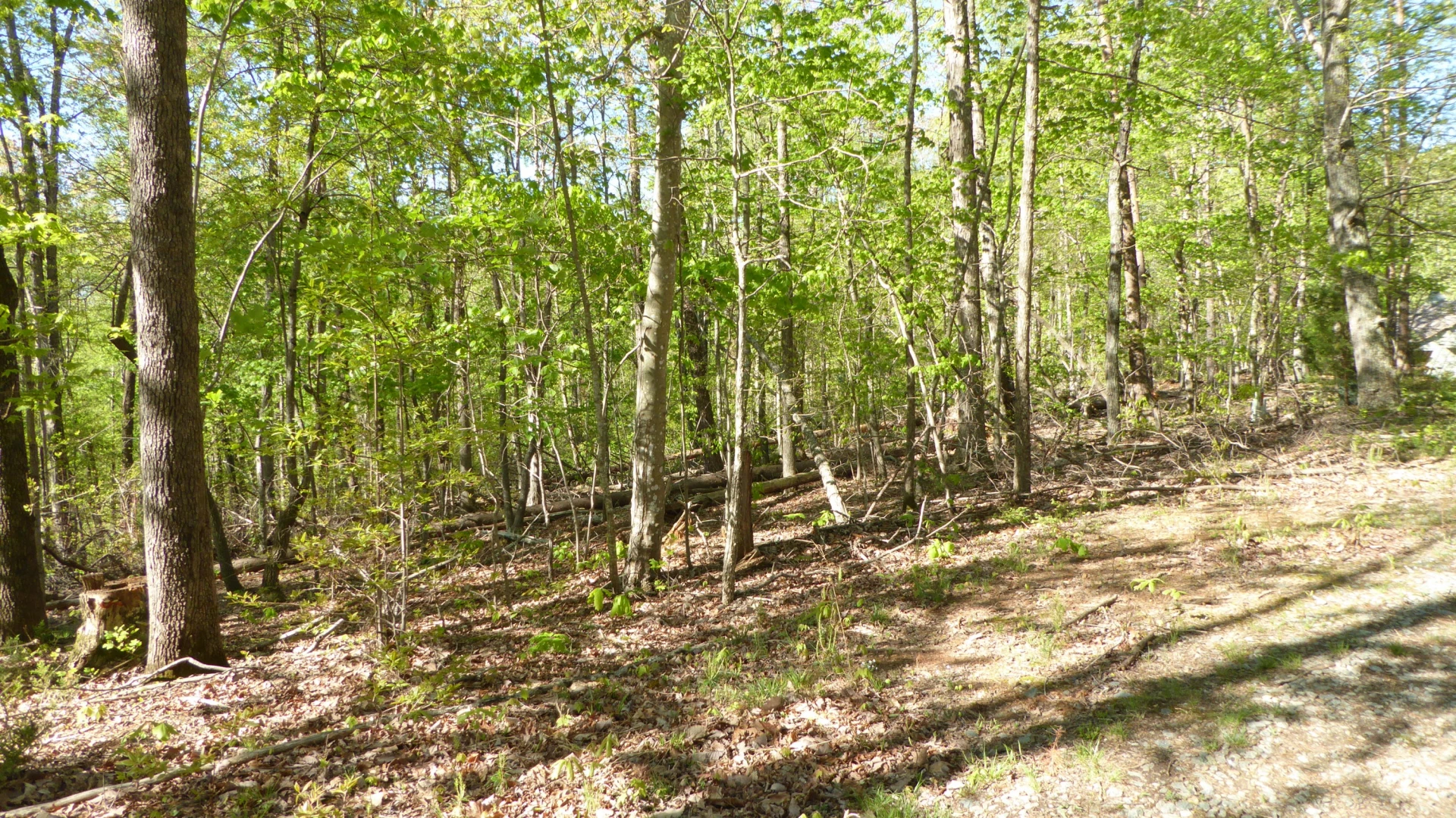 TRACT 9 Dusty LN - Photo 9