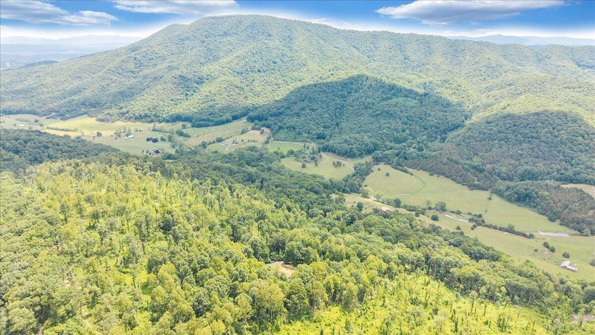 11010 Catawba RD - Photo 63