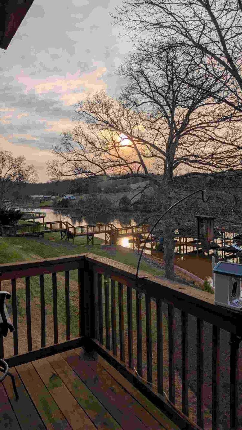 515 Cambridge CT #F1 - Photo 43