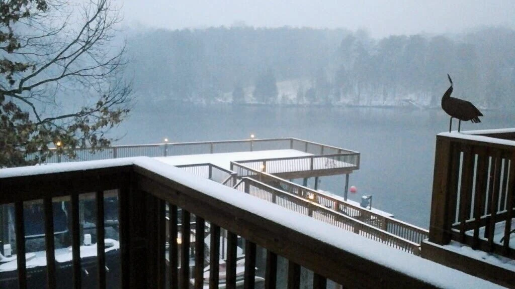 515 Cambridge CT #F1 - Photo 51