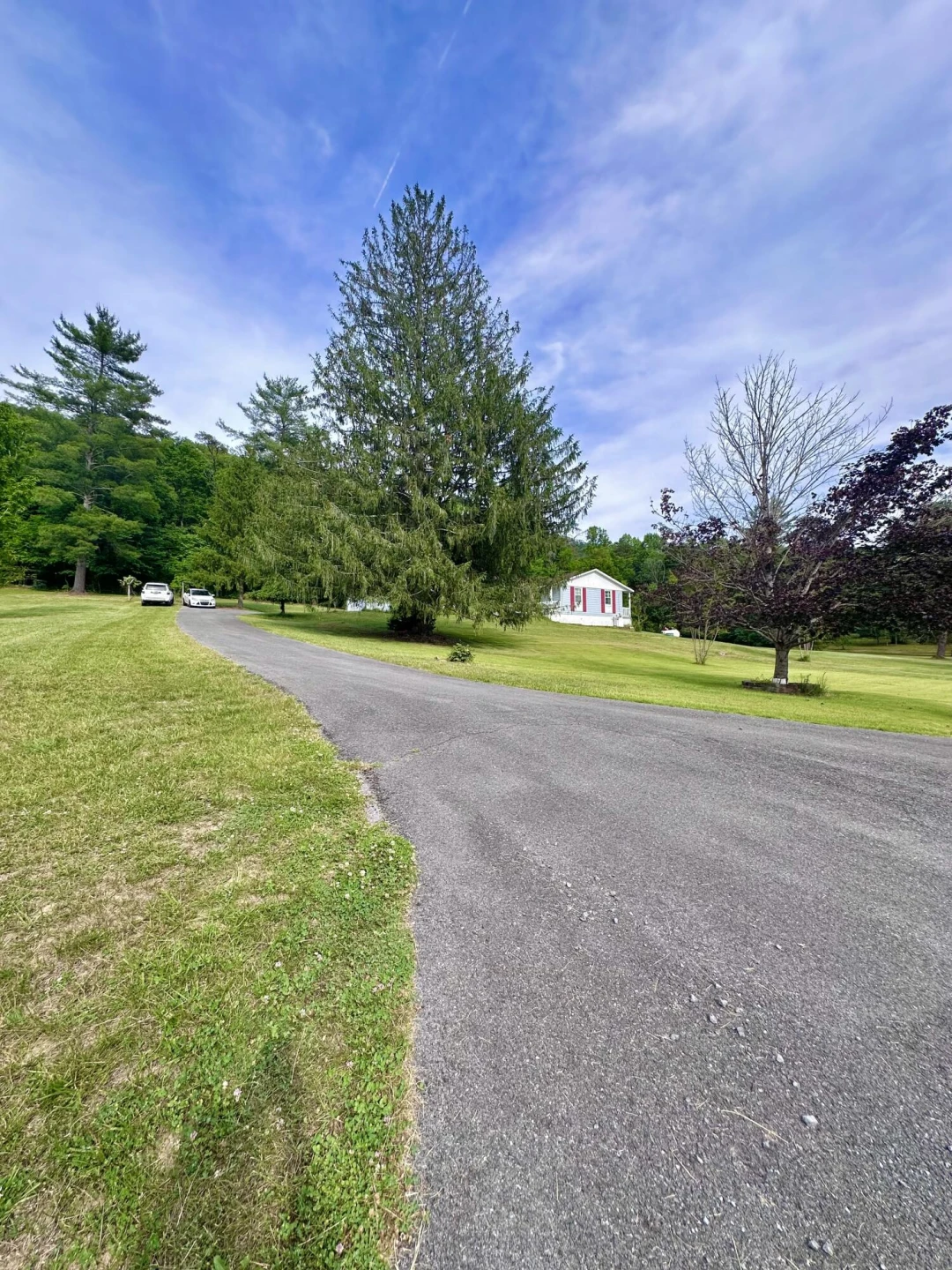 401 Big Cedar DR - Photo 16