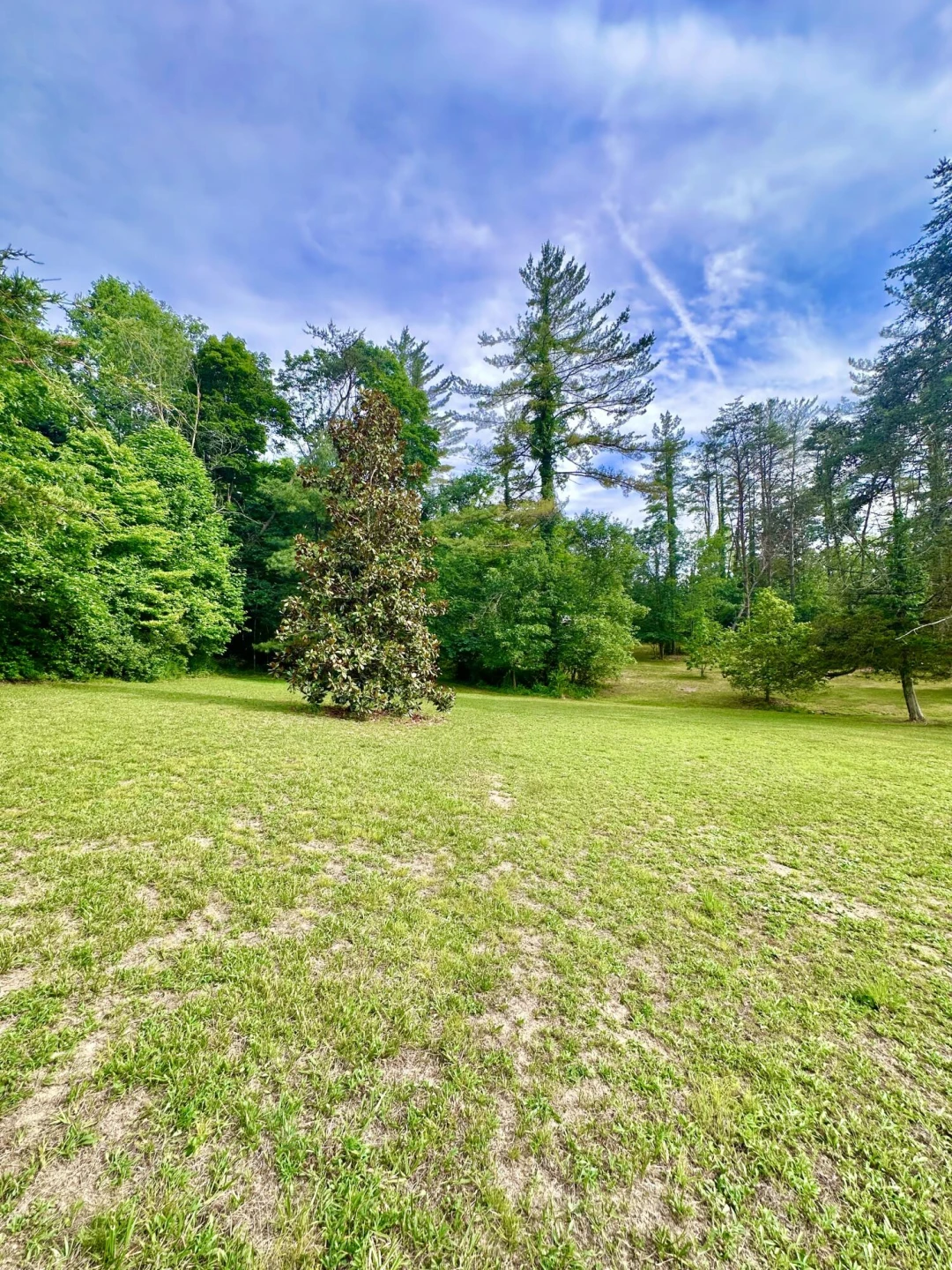 401 Big Cedar DR - Photo 22