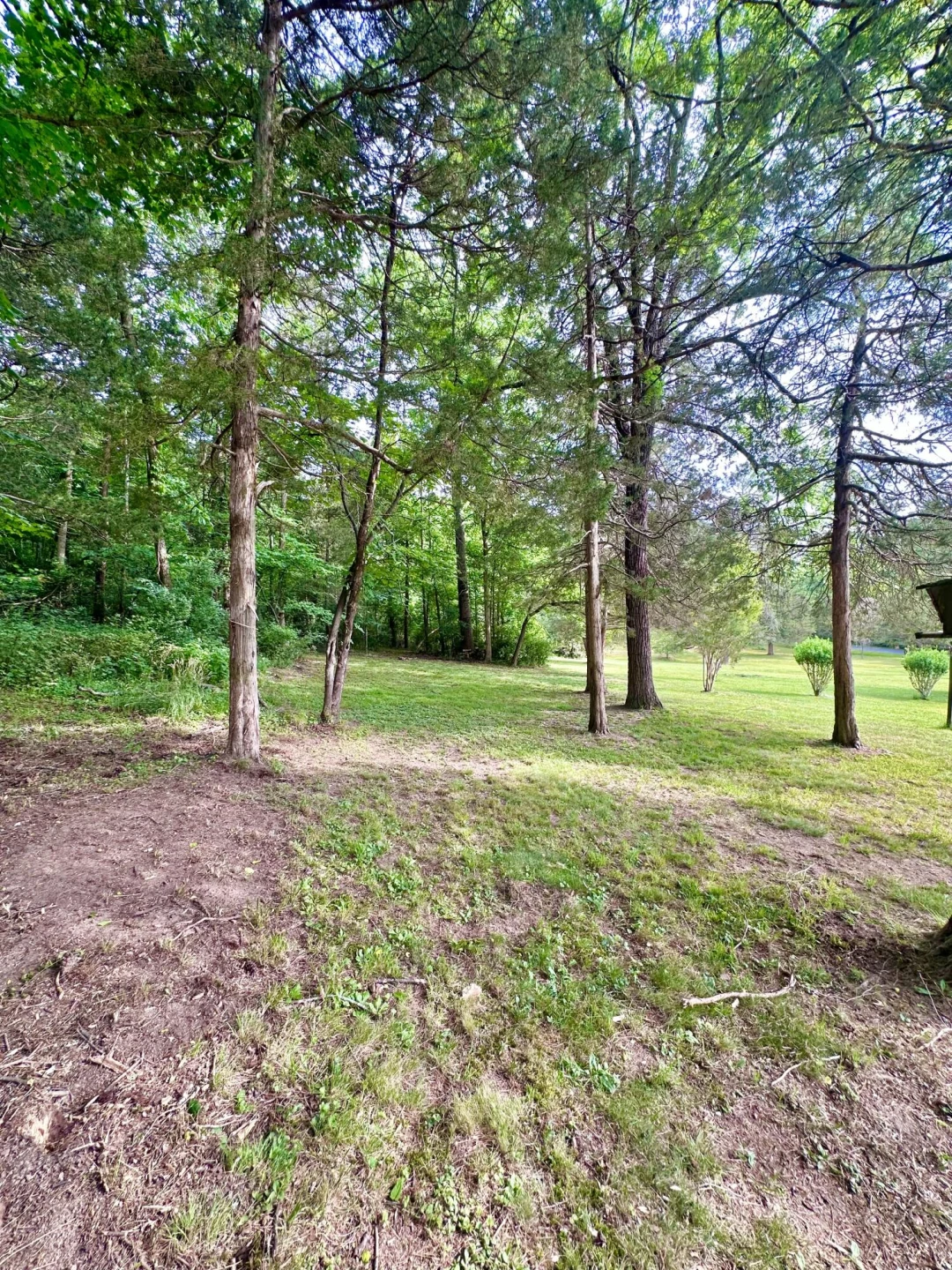 401 Big Cedar DR - Photo 23