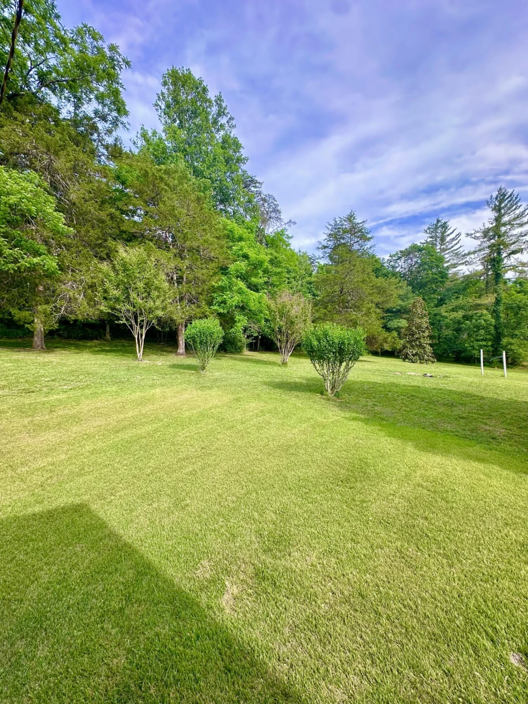 401 Big Cedar DR - Photo 24