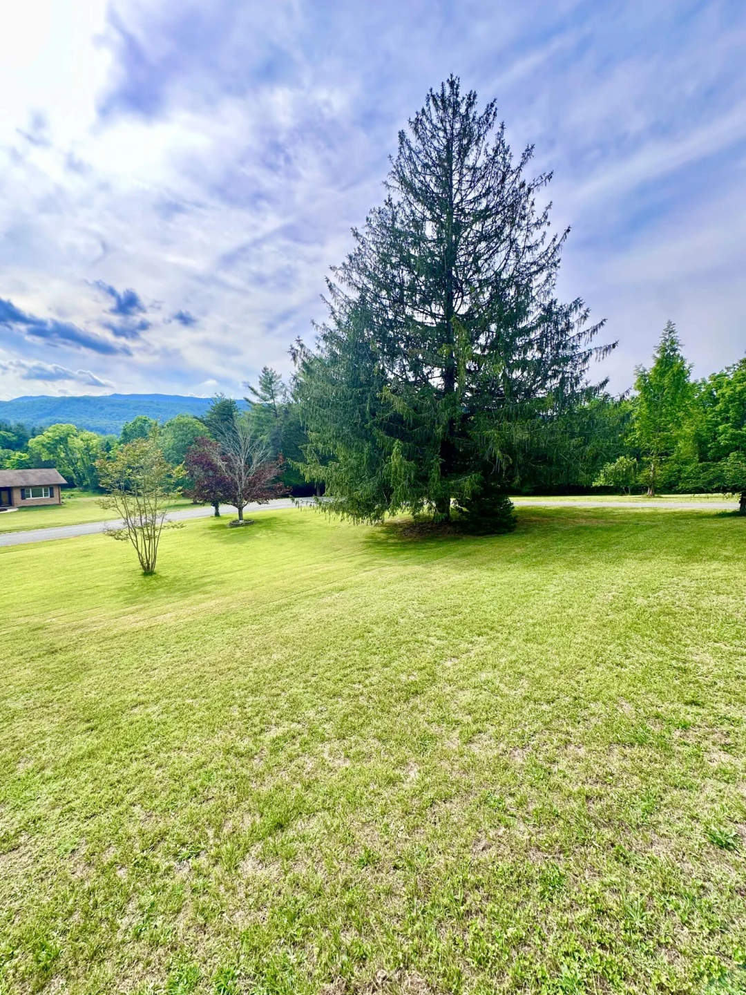 401 Big Cedar DR - Photo 27