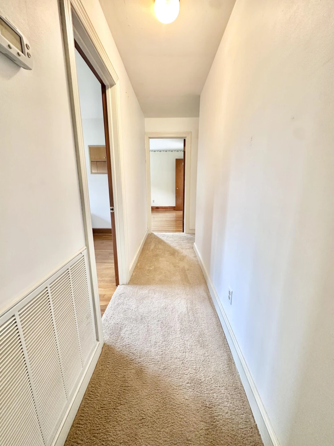 401 Big Cedar DR - Photo 47