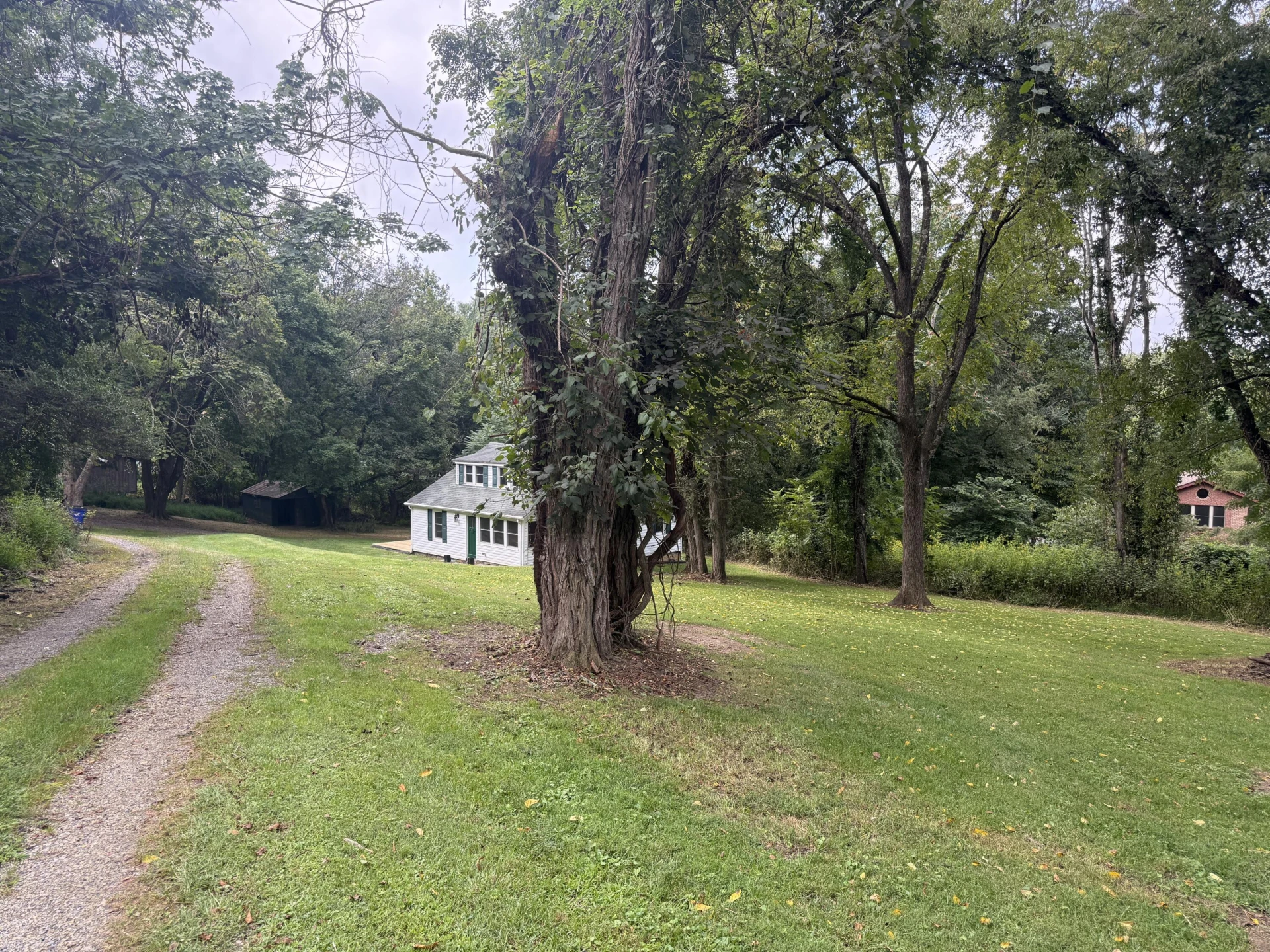 508 Piedmont ST - Photo 26