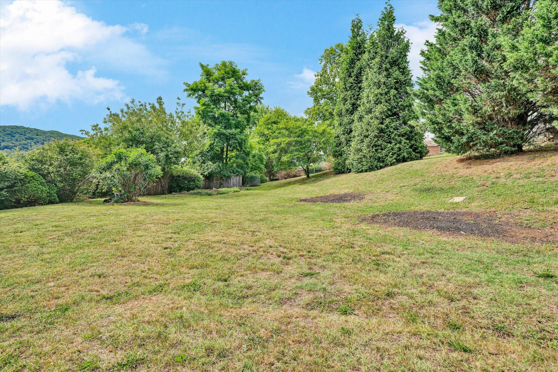 101 Sunnydale CT - Photo 28