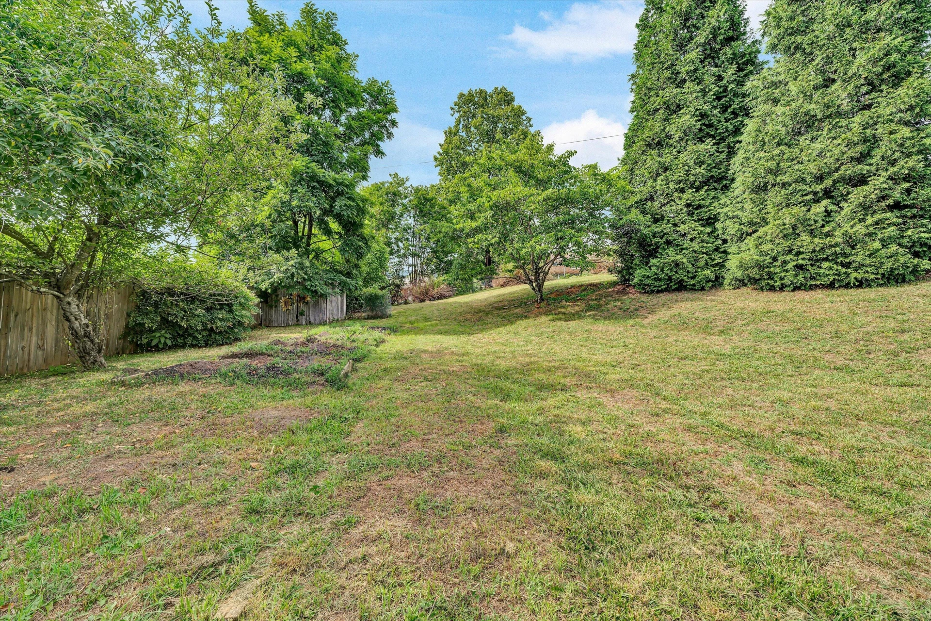 101 Sunnydale CT - Photo 29