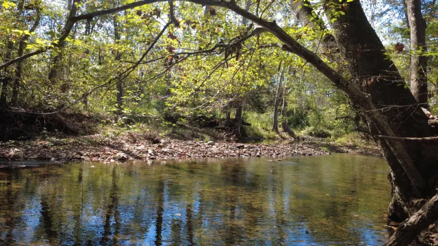 0000 Potts Creek RD
