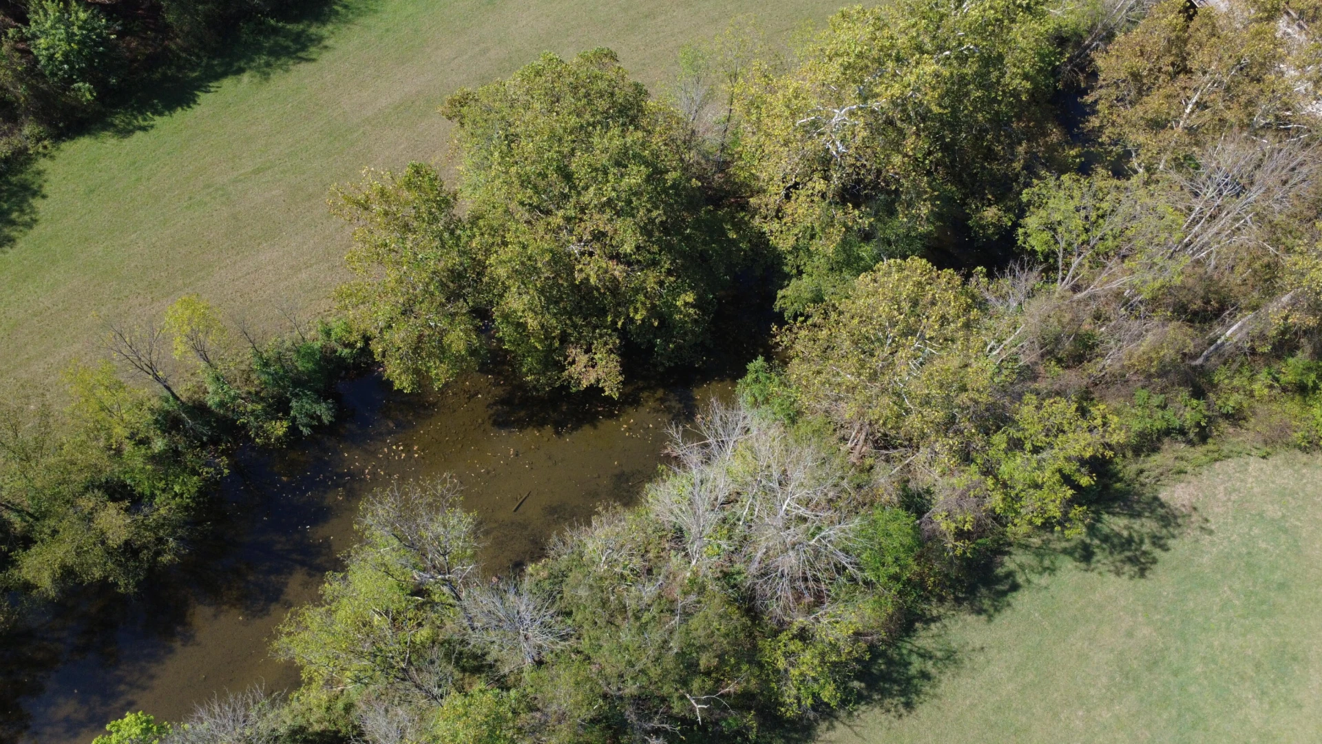 0000 Potts Creek RD - Photo 15
