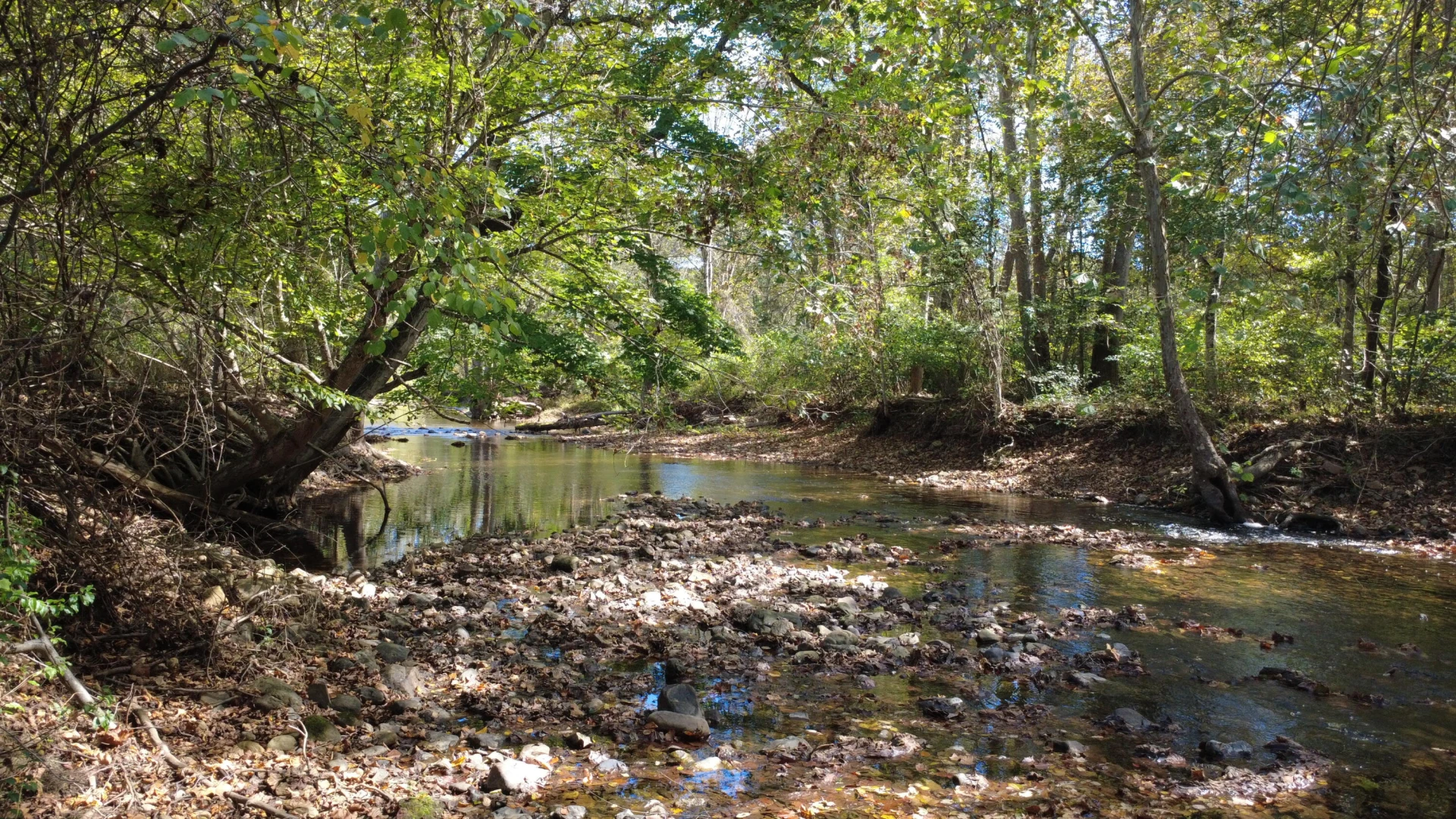 0000 Potts Creek RD - Photo 3