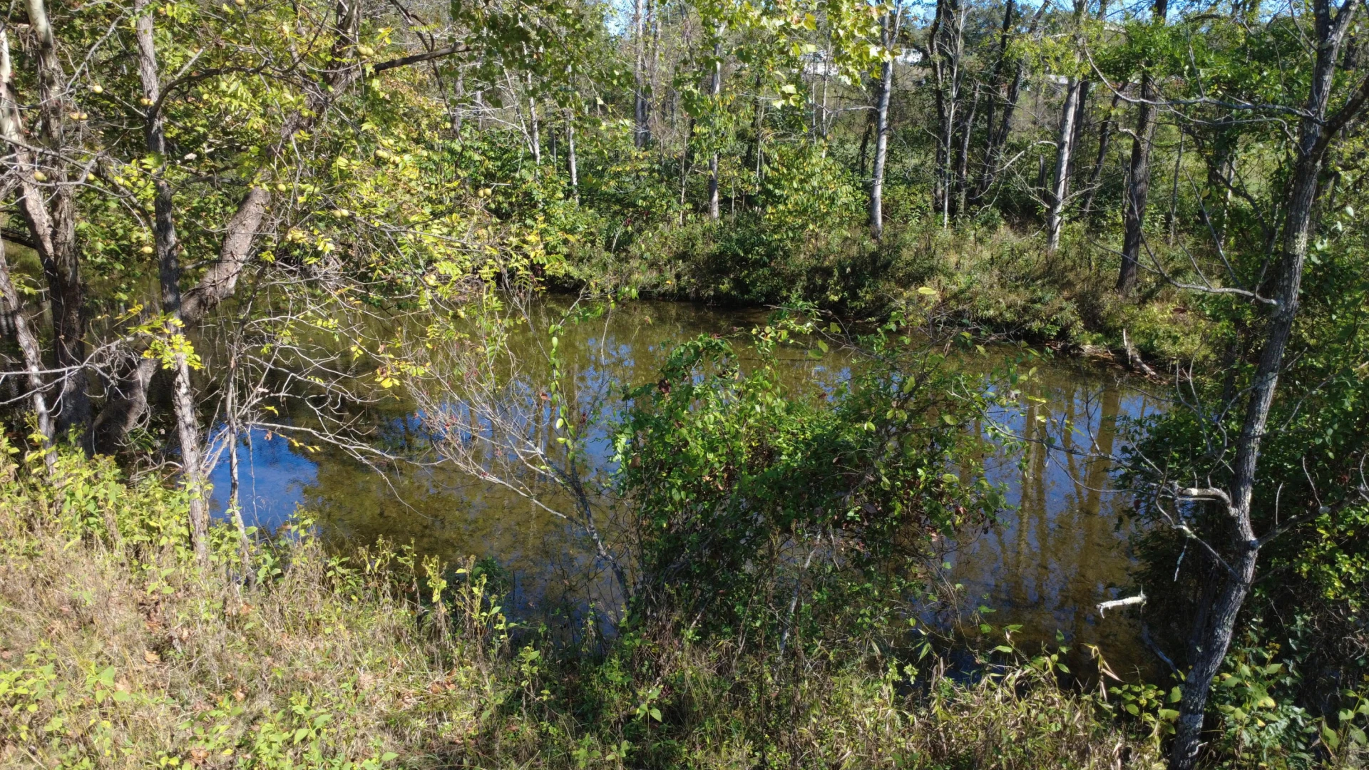 0000 Potts Creek RD - Photo 4
