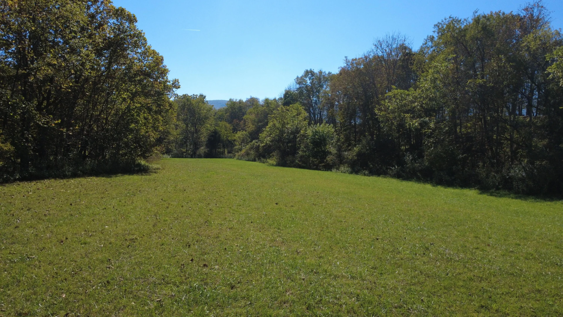 0000 Potts Creek RD - Photo 7