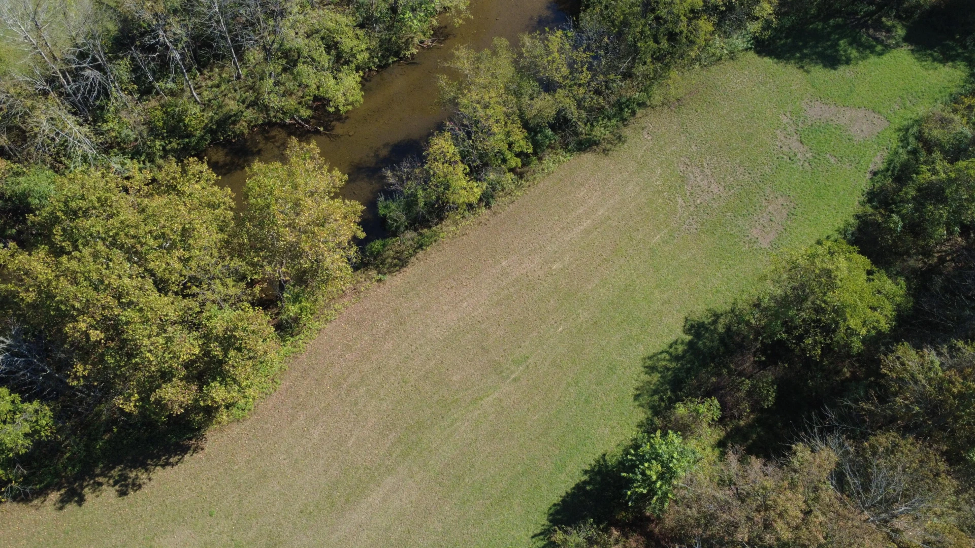 0000 Potts Creek RD - Photo 9