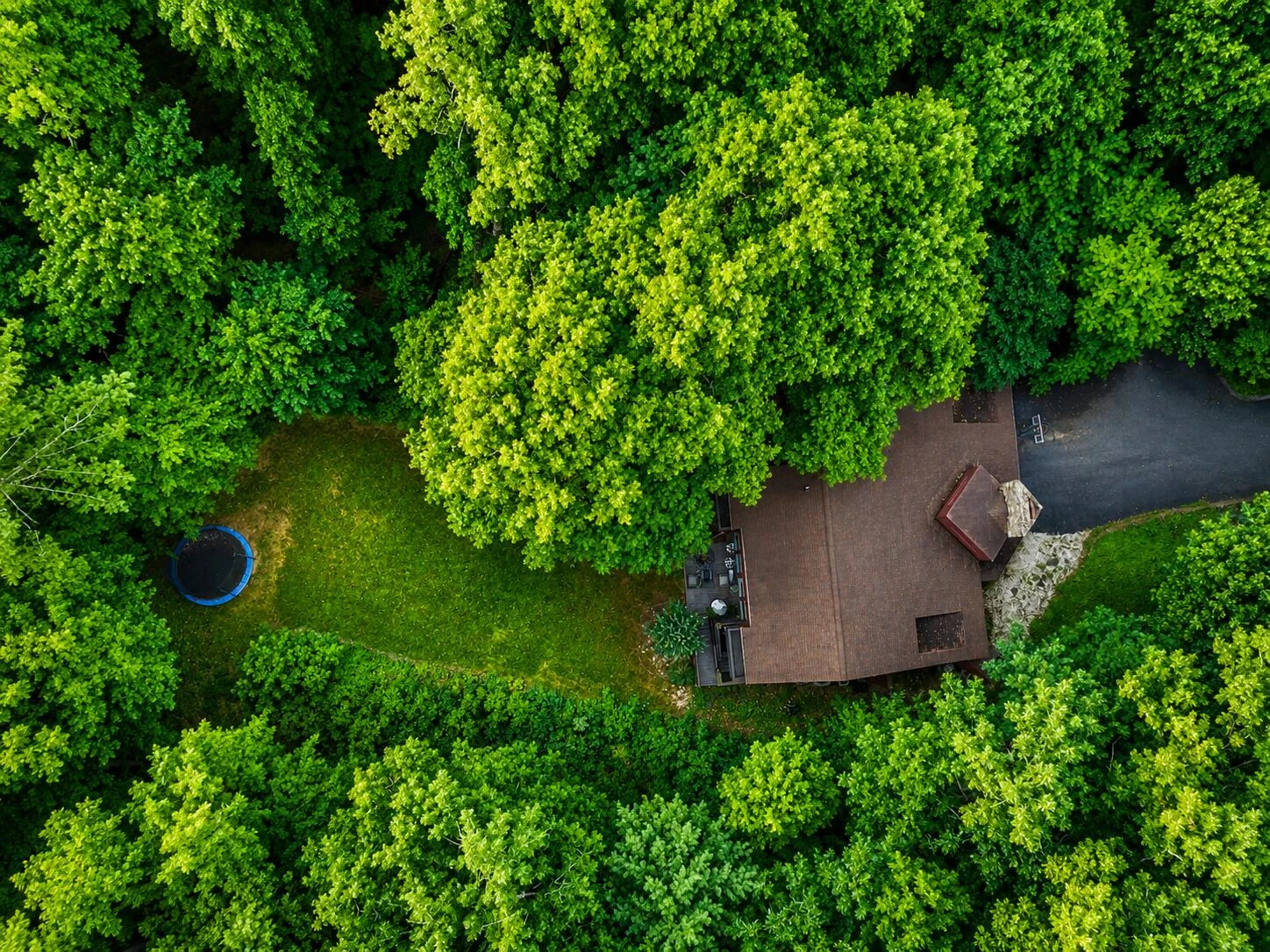 6227 Saddleridge RD - Photo 3