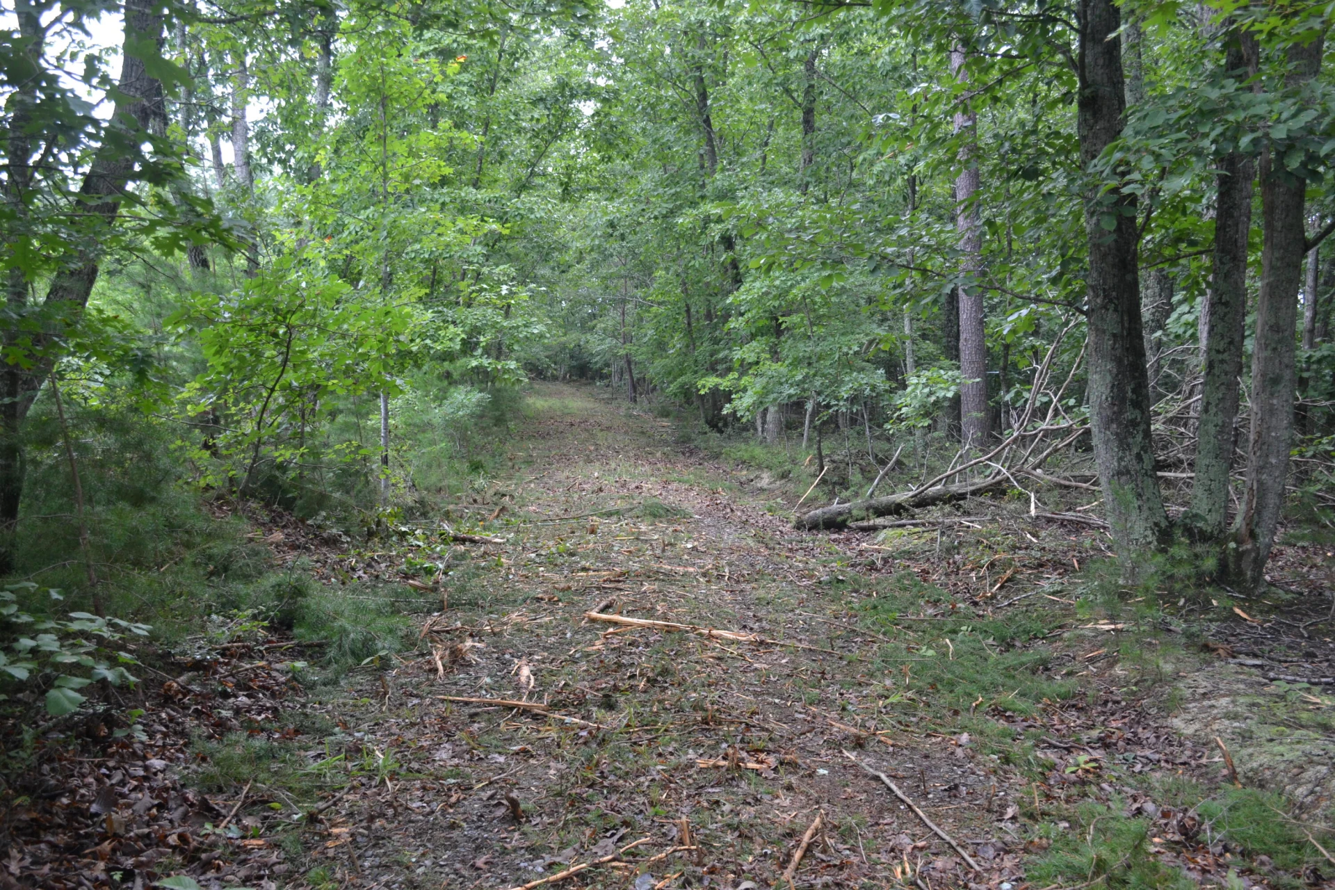 0 Paisley RD - Photo 26