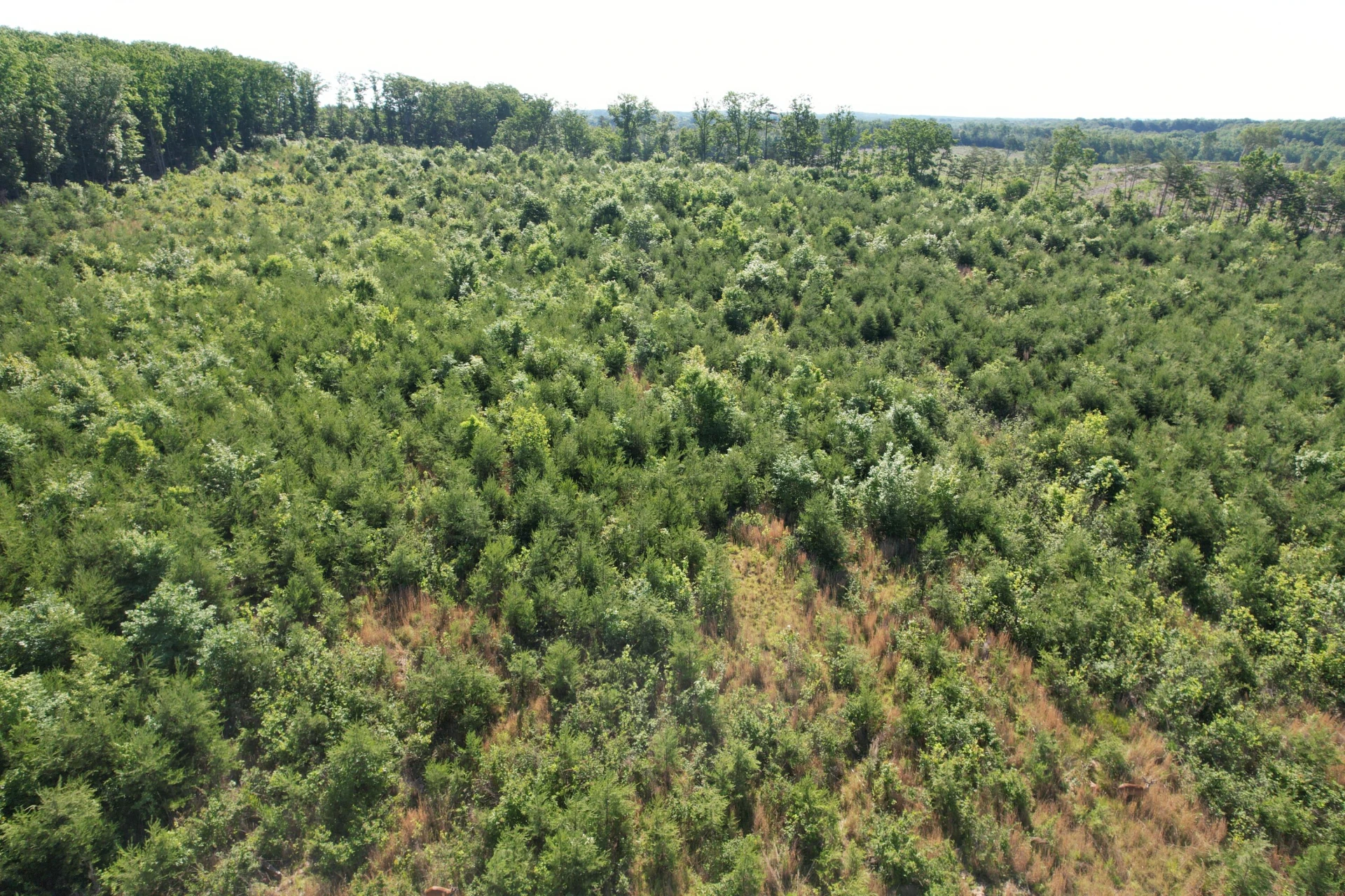 0 Georges Creek RD - Photo 10