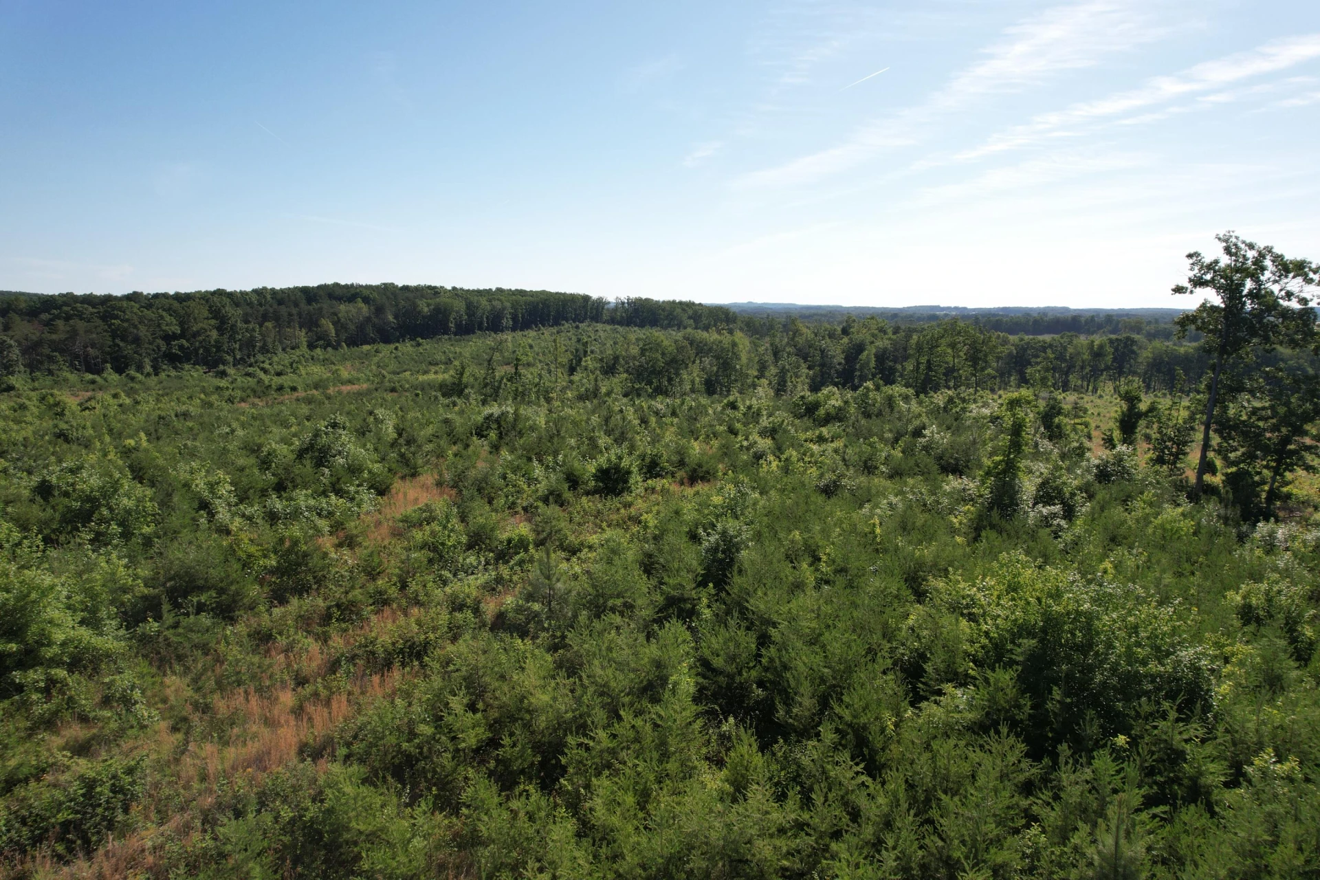 0 Georges Creek RD - Photo 16