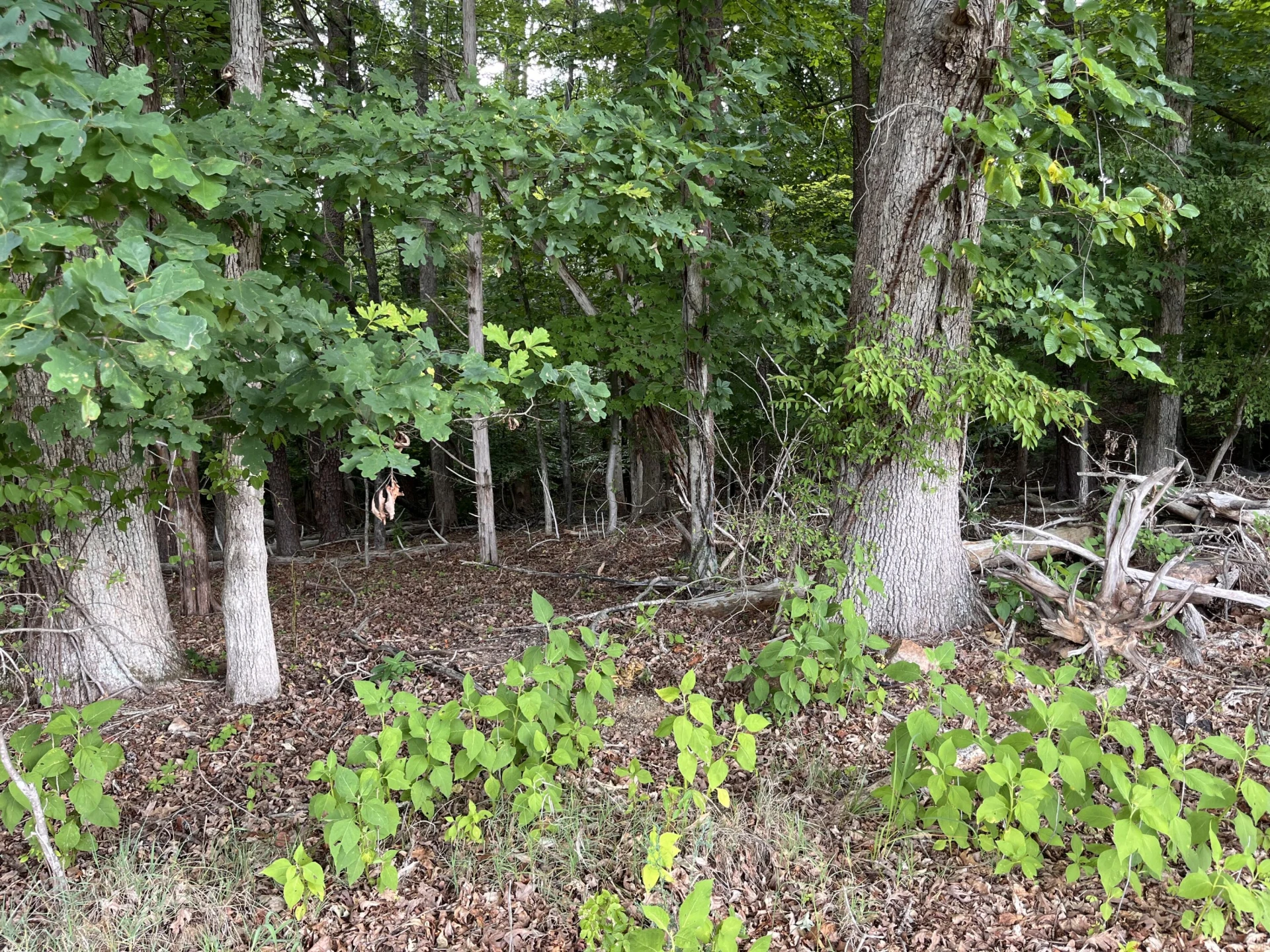 0 Parford LN - Photo 2