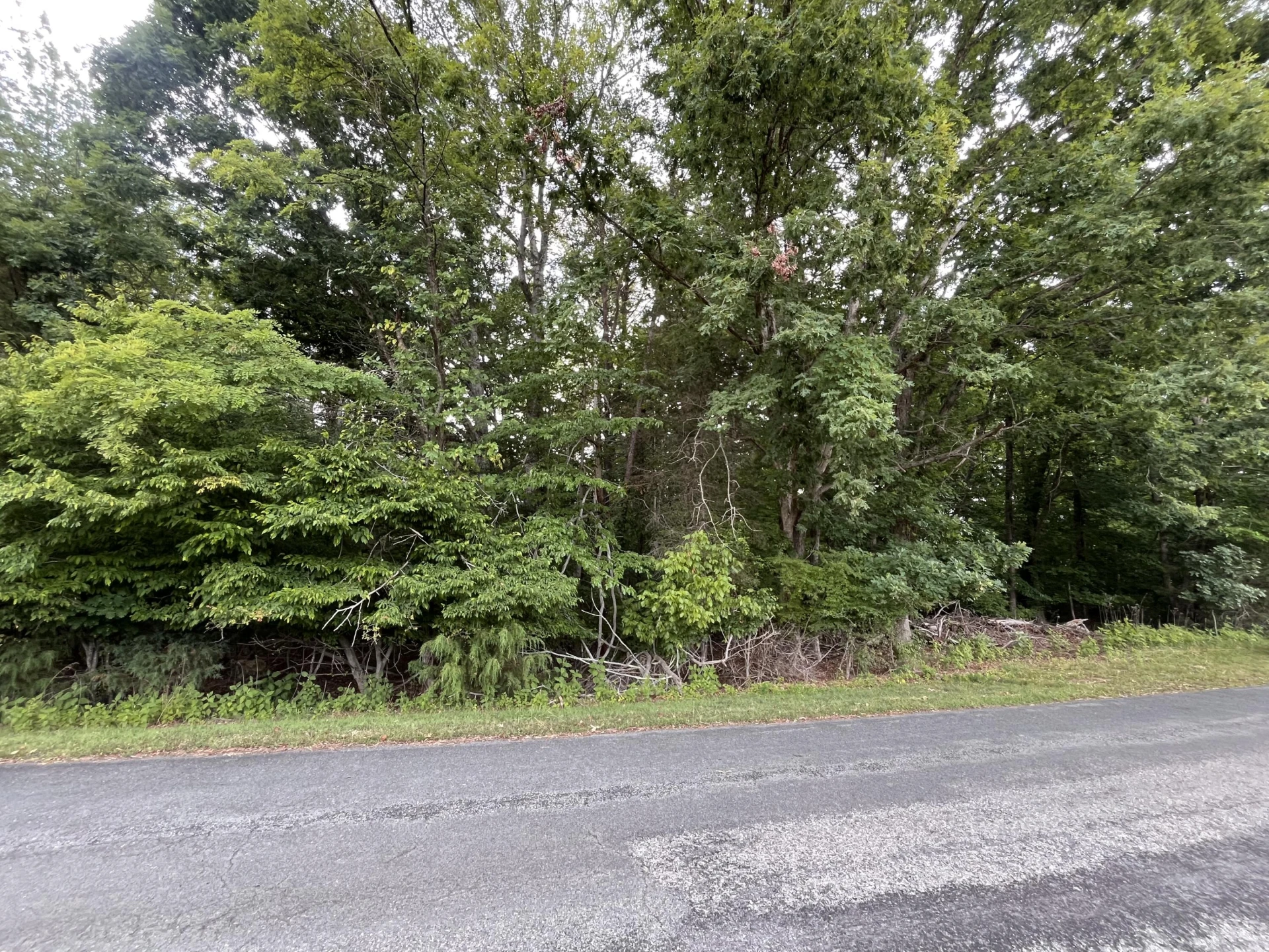 0 Parford LN - Photo 3