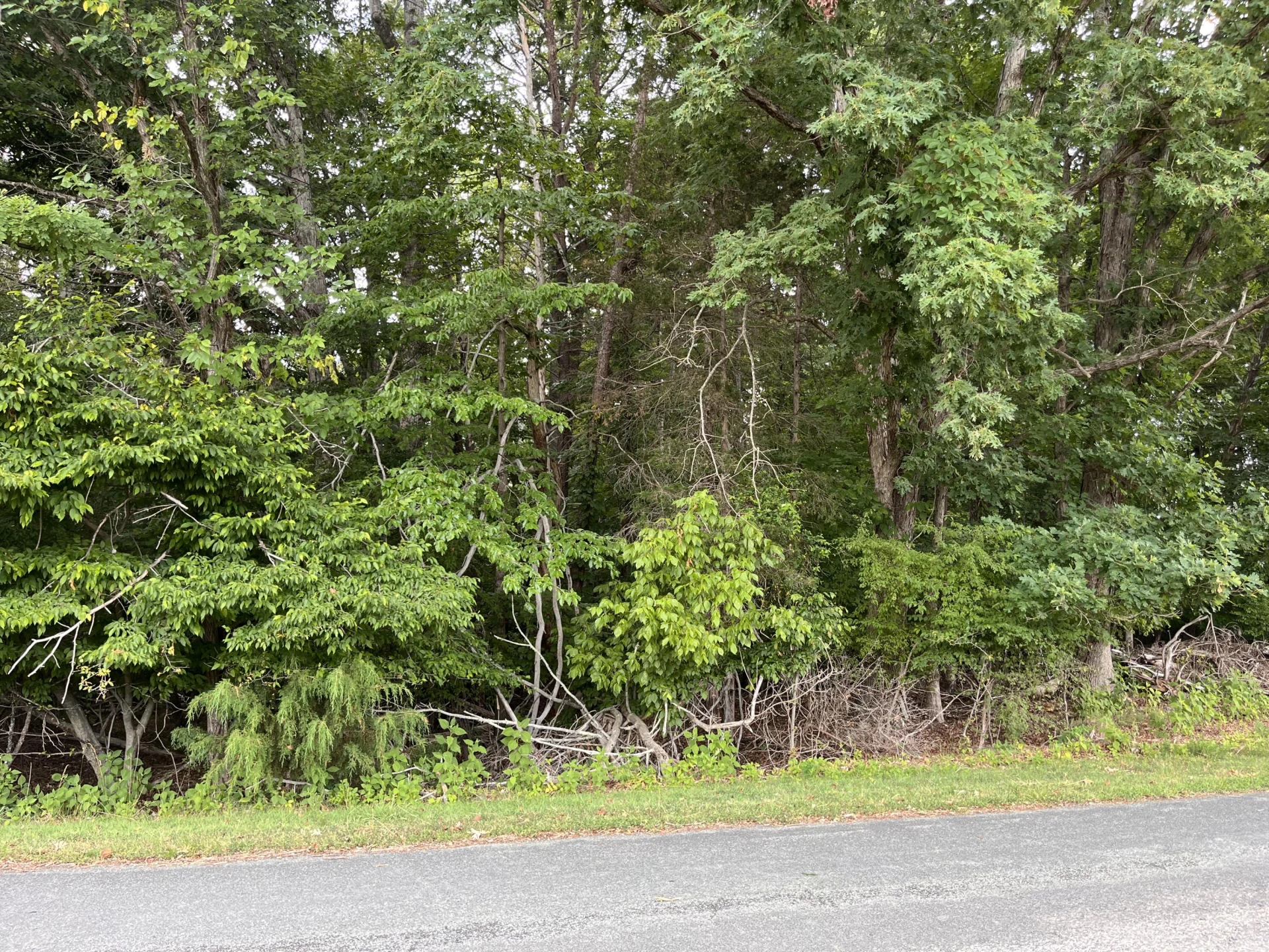 0 Parford LN - Photo 4