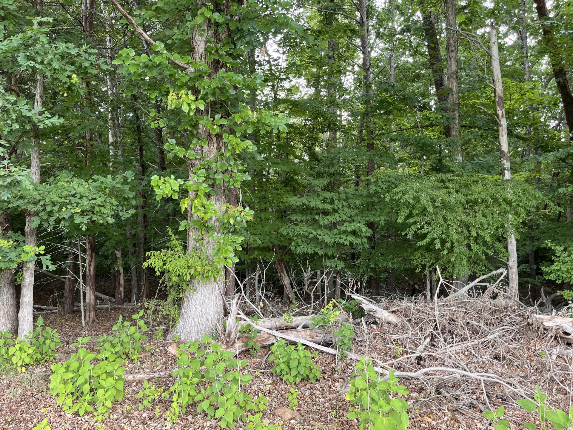 0 Parford LN - Photo 5