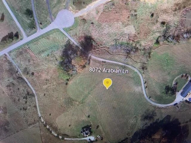 8072 Arabian LN