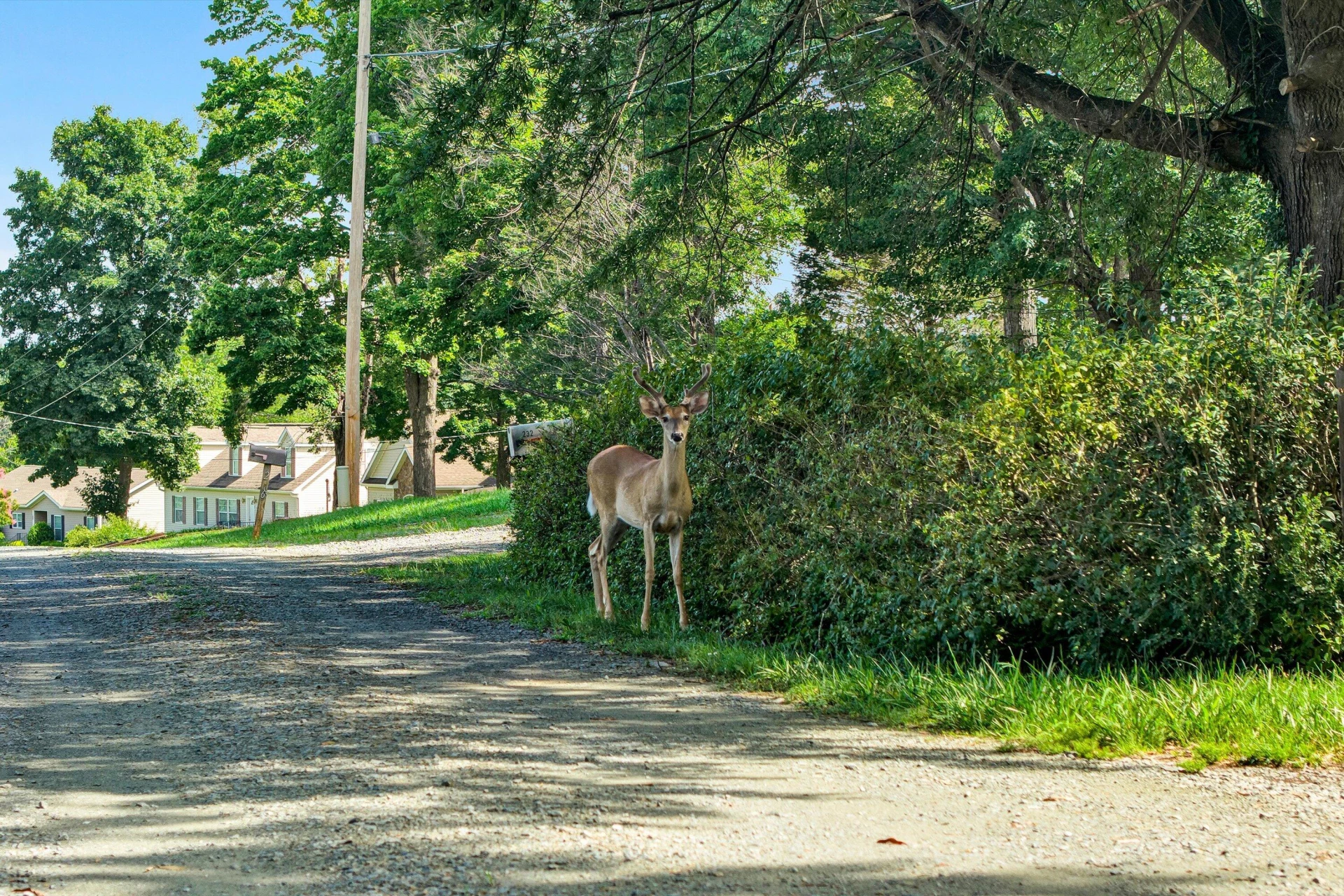 208 Munsons RD - Photo 46