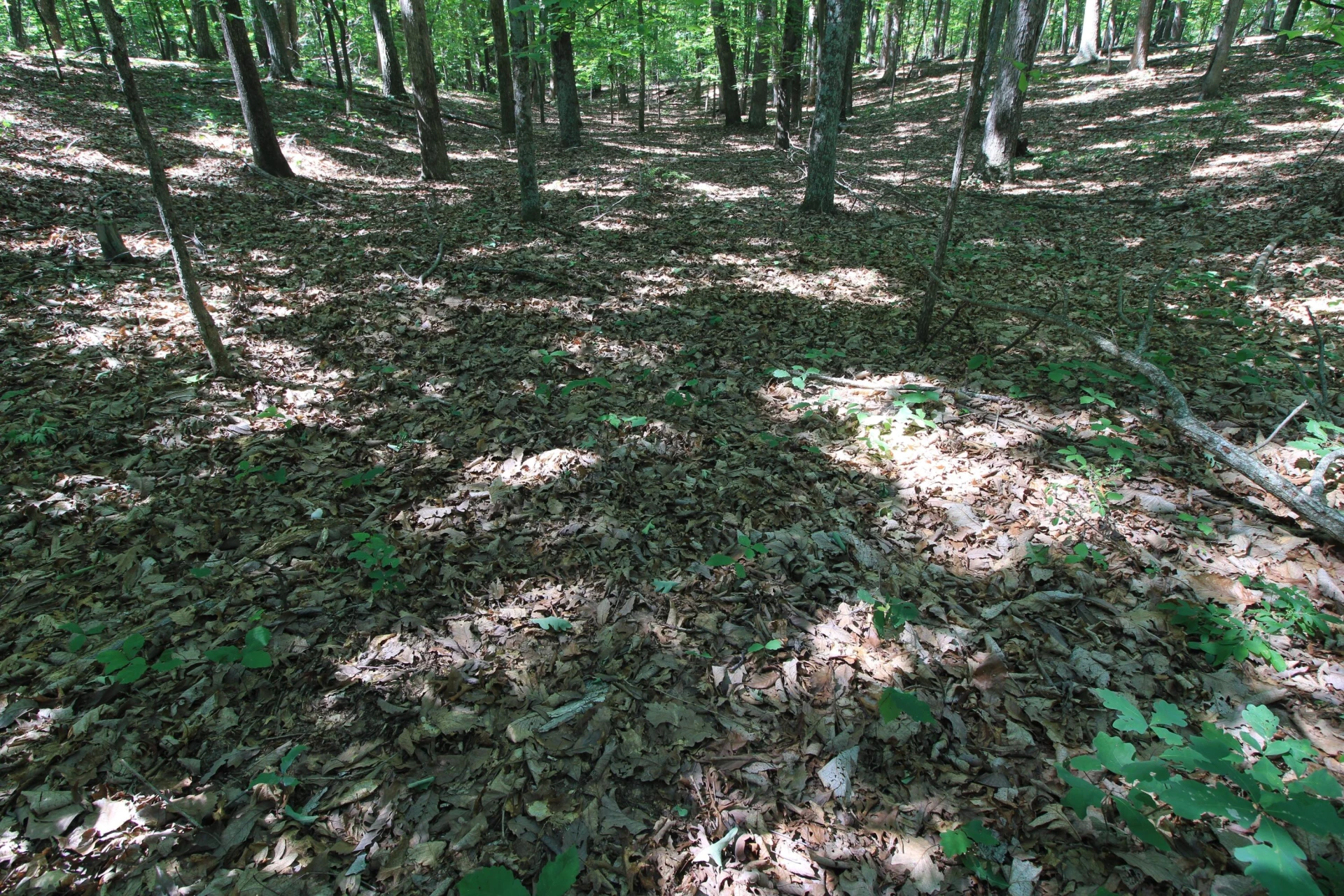 3685 Midway RD - Photo 37