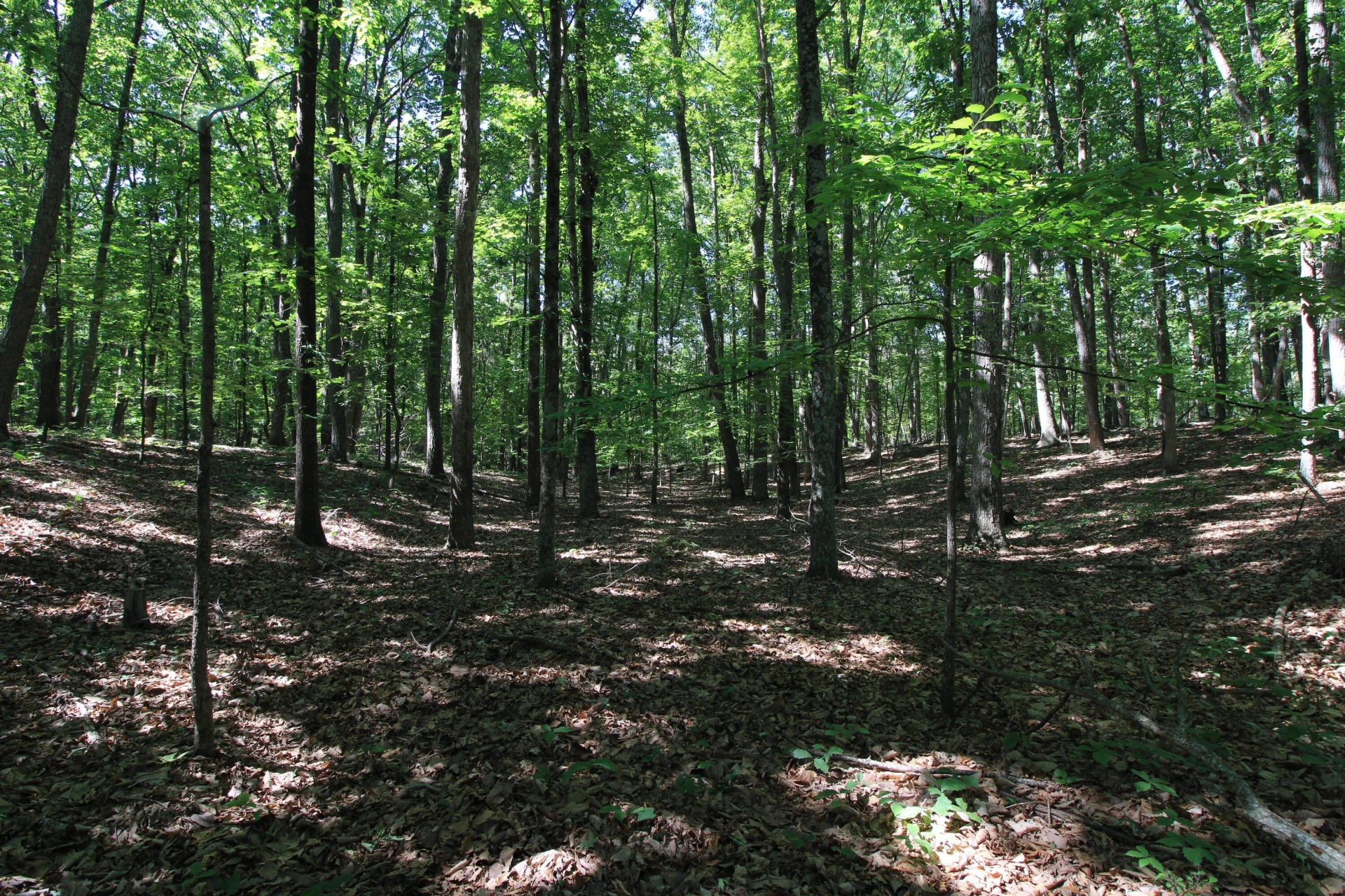 3685 Midway RD - Photo 38