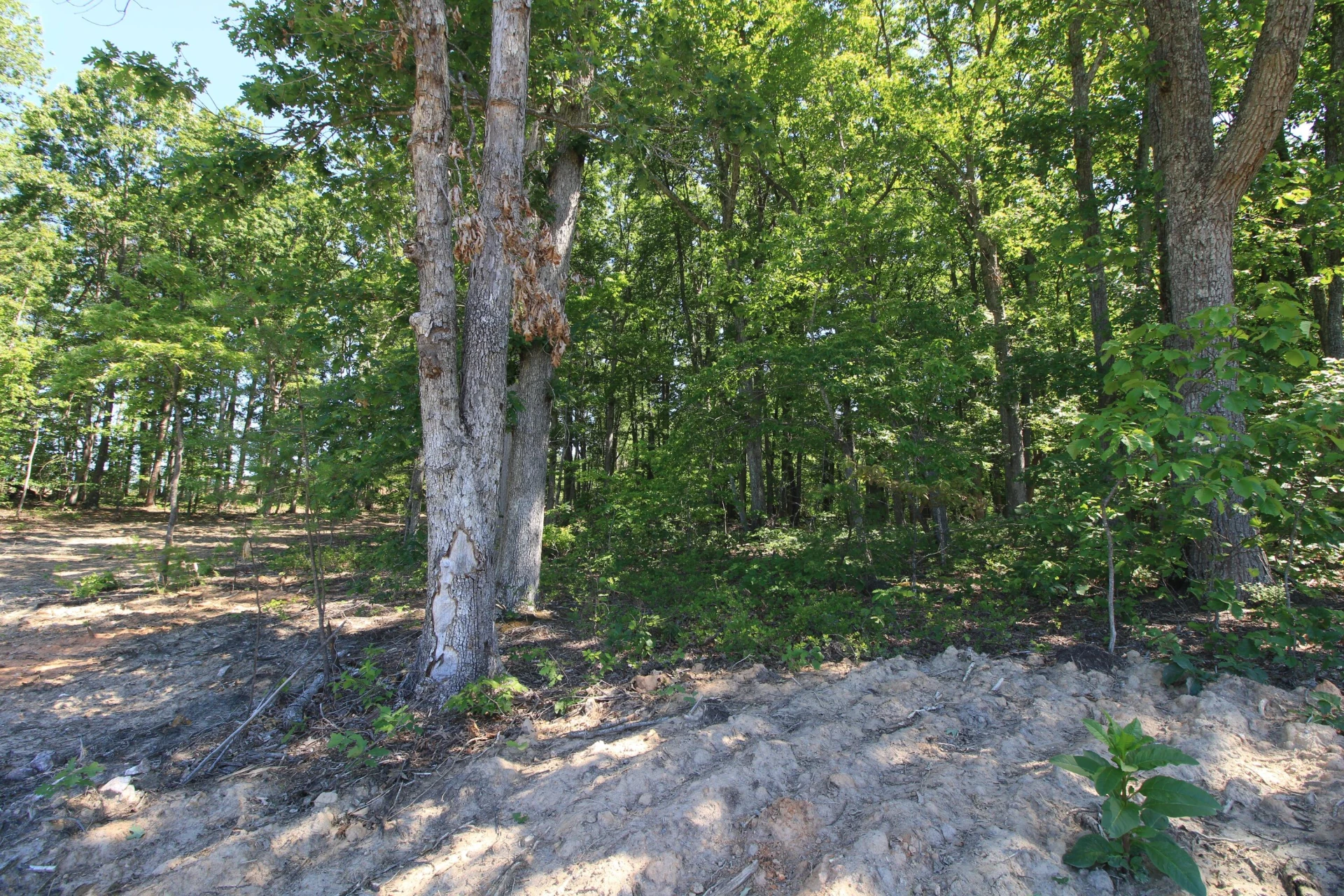 3685 Midway RD - Photo 40