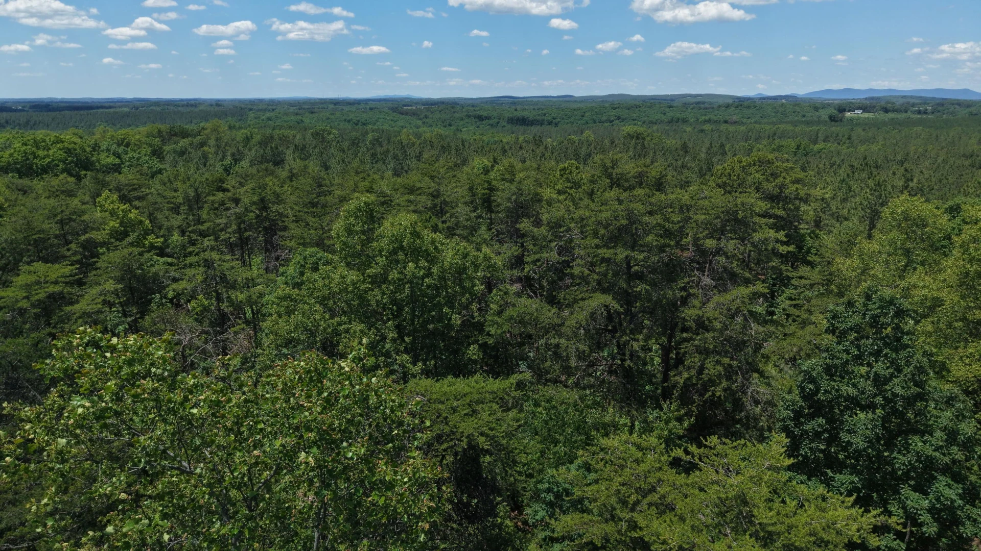 3685 Midway RD - Photo 41