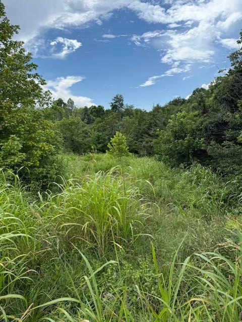 0 Moneta RD