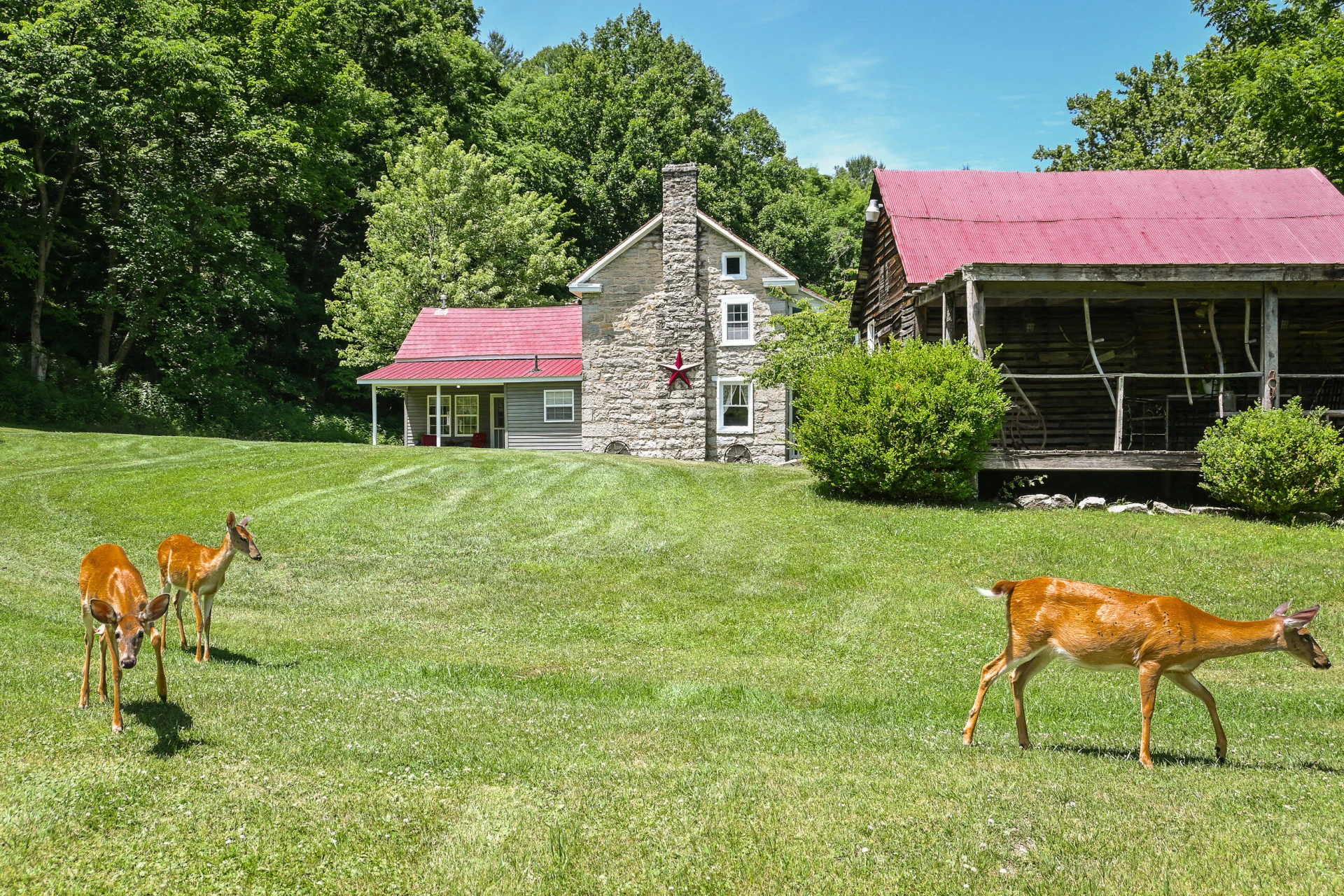 4407 Rich Patch RD - Photo 19
