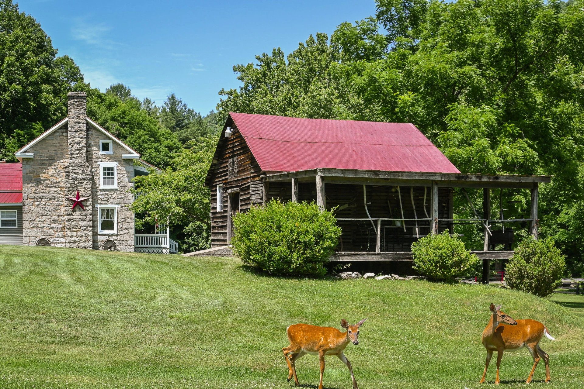 4407 Rich Patch RD - Photo 20