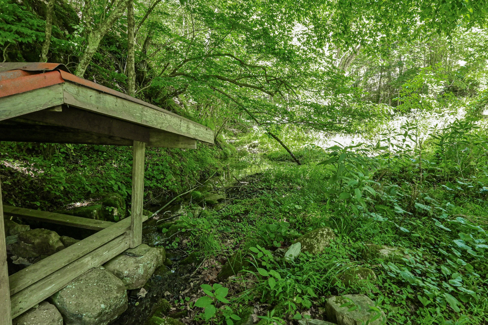 4407 Rich Patch RD - Photo 23