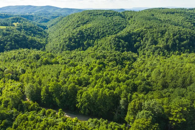 TBD Sawmill Hill RD NW, Willis, VA, 24380