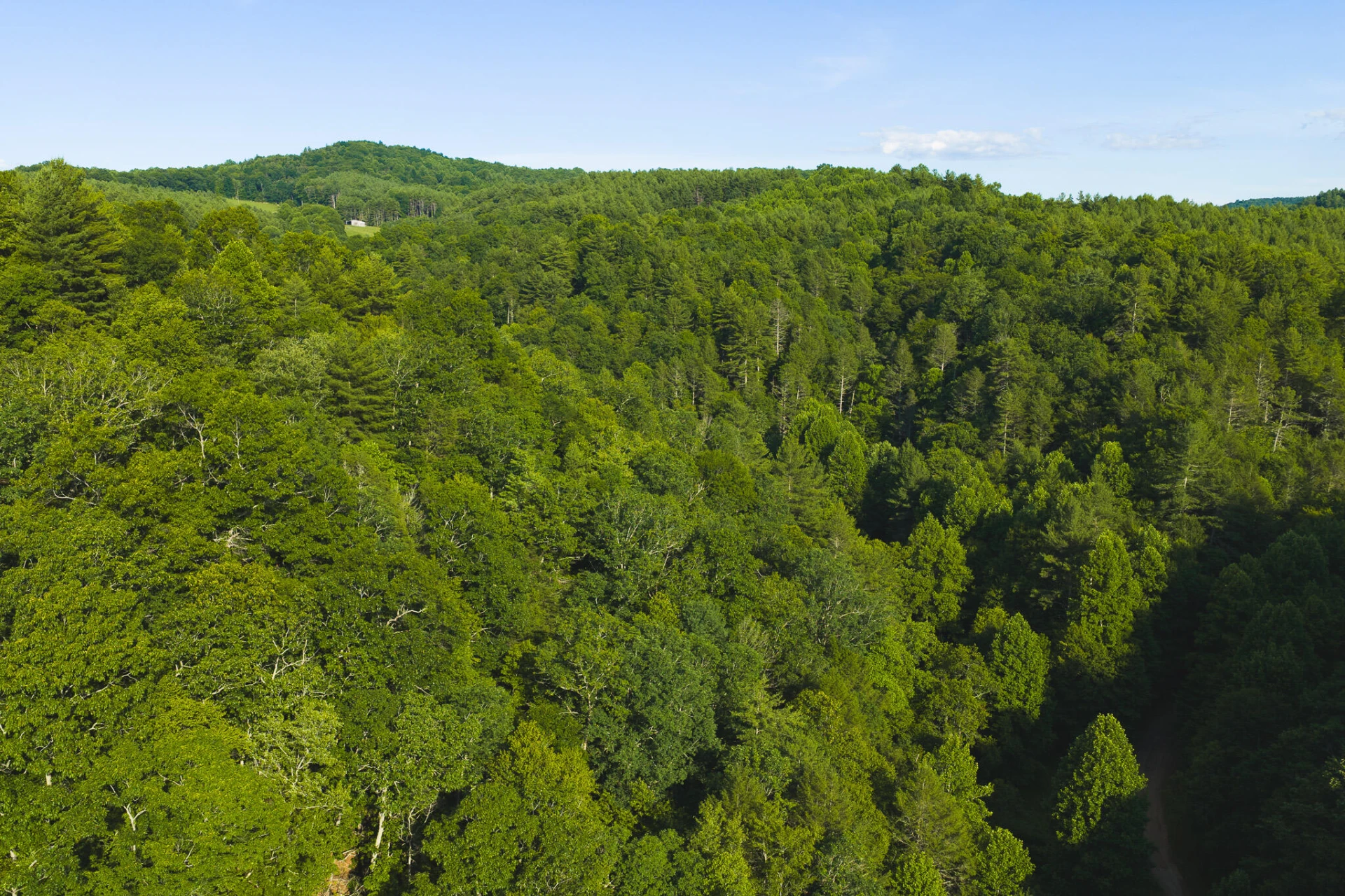 TBD Sawmill Hill RD NW - Photo 11