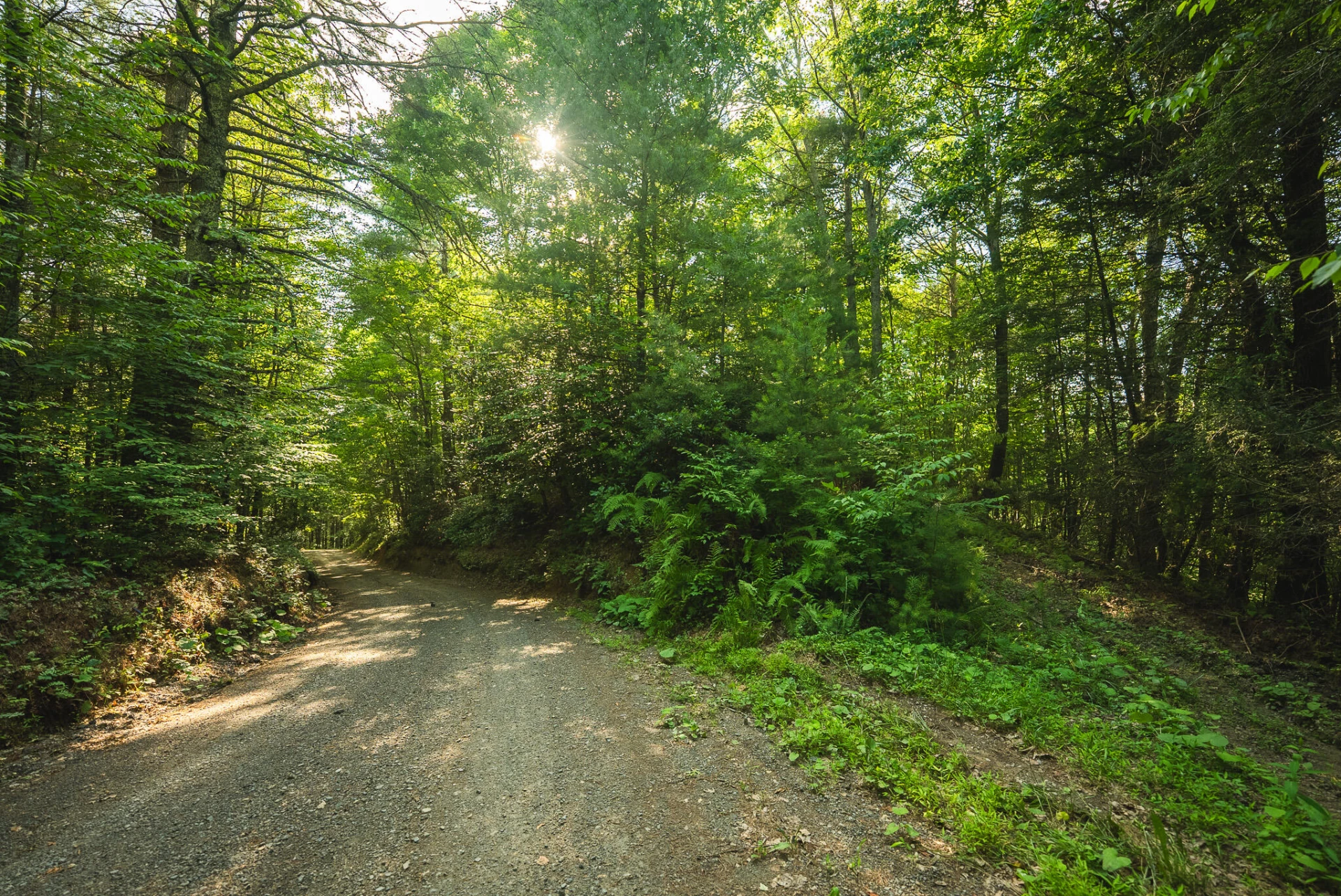 TBD Sawmill Hill RD NW - Photo 18