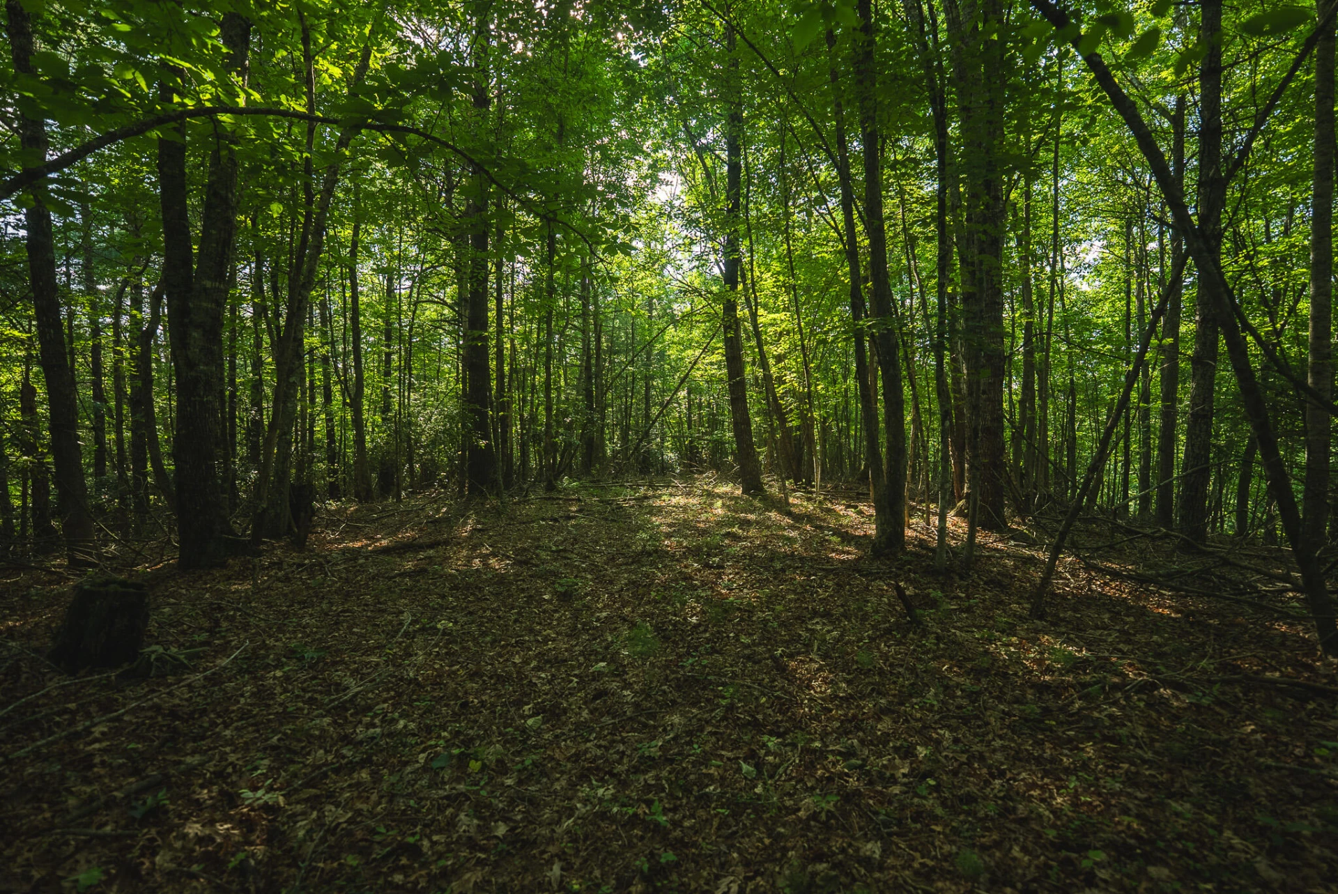 TBD Sawmill Hill RD NW - Photo 19