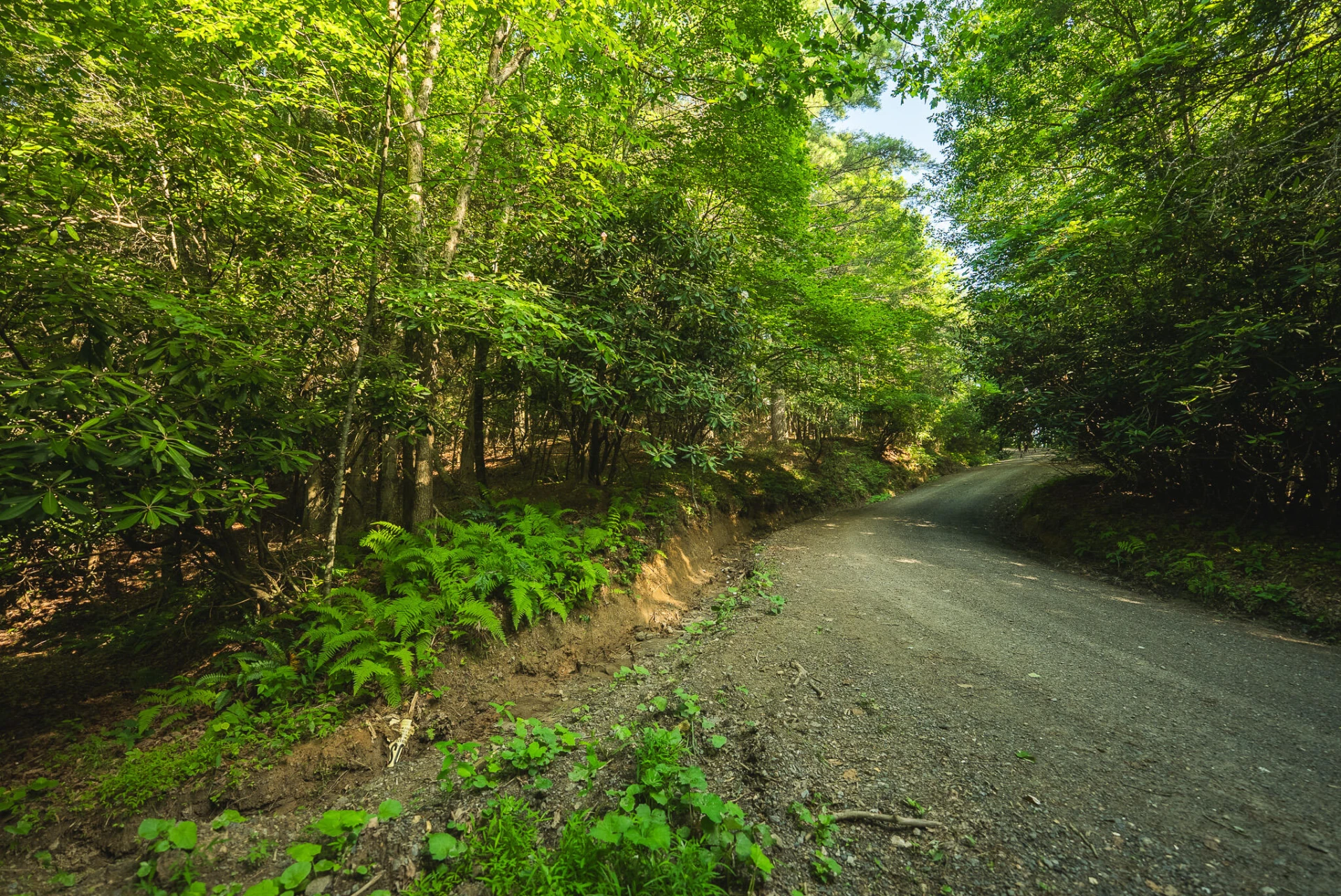 TBD Sawmill Hill RD NW - Photo 20