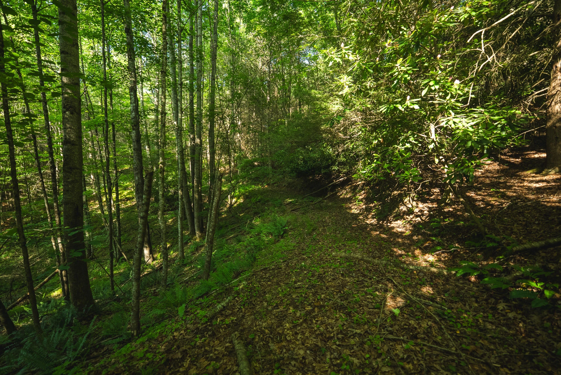 TBD Sawmill Hill RD NW - Photo 21