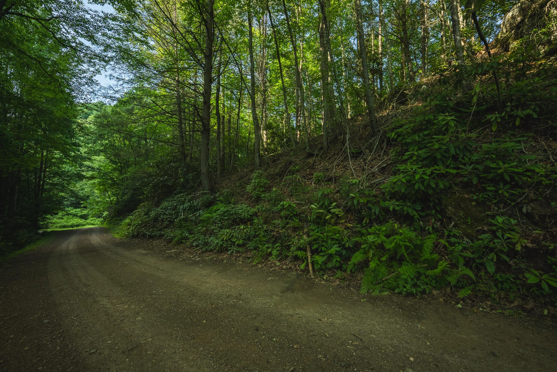 TBD Sawmill Hill RD NW - Photo 25