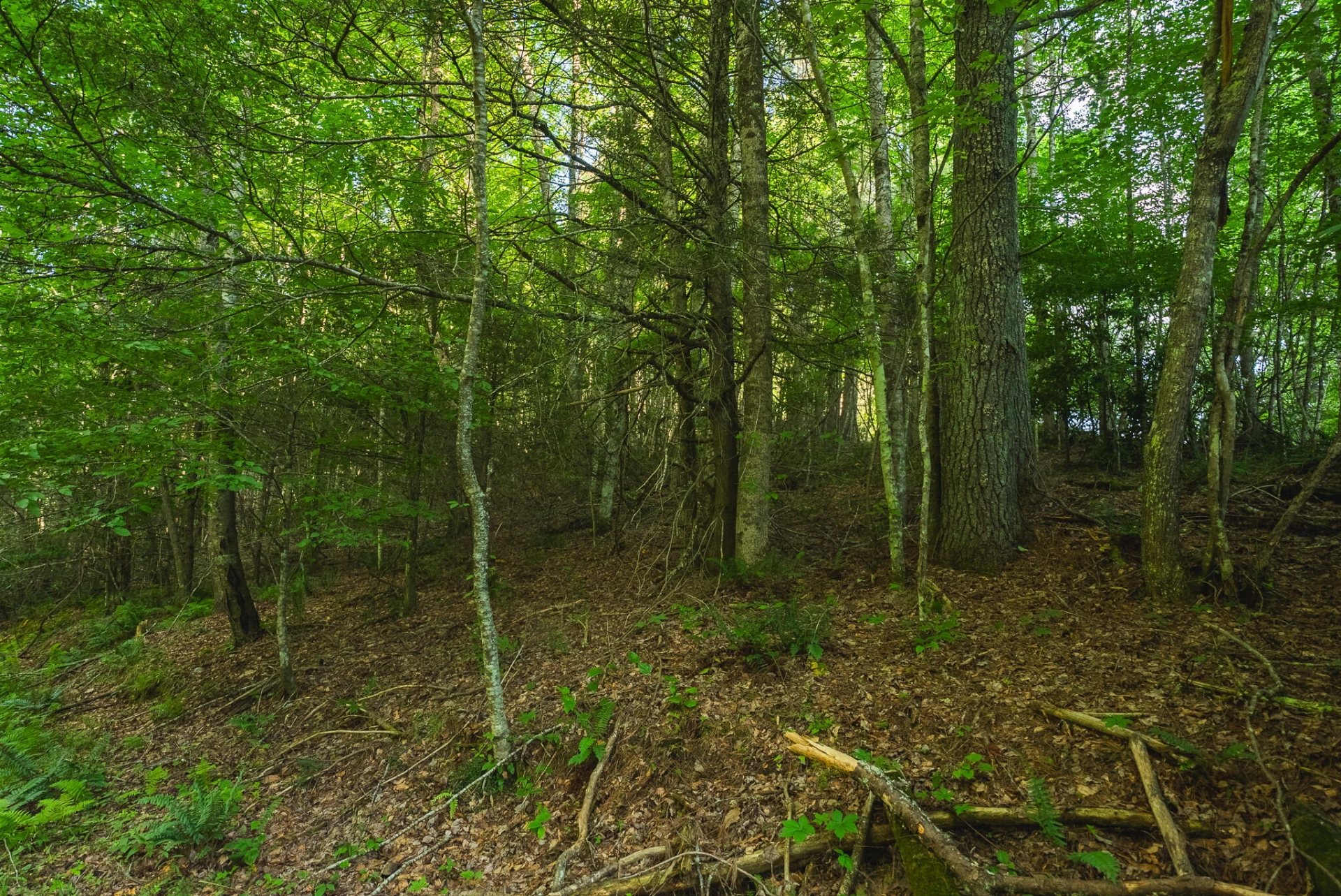 TBD Sawmill Hill RD NW - Photo 36